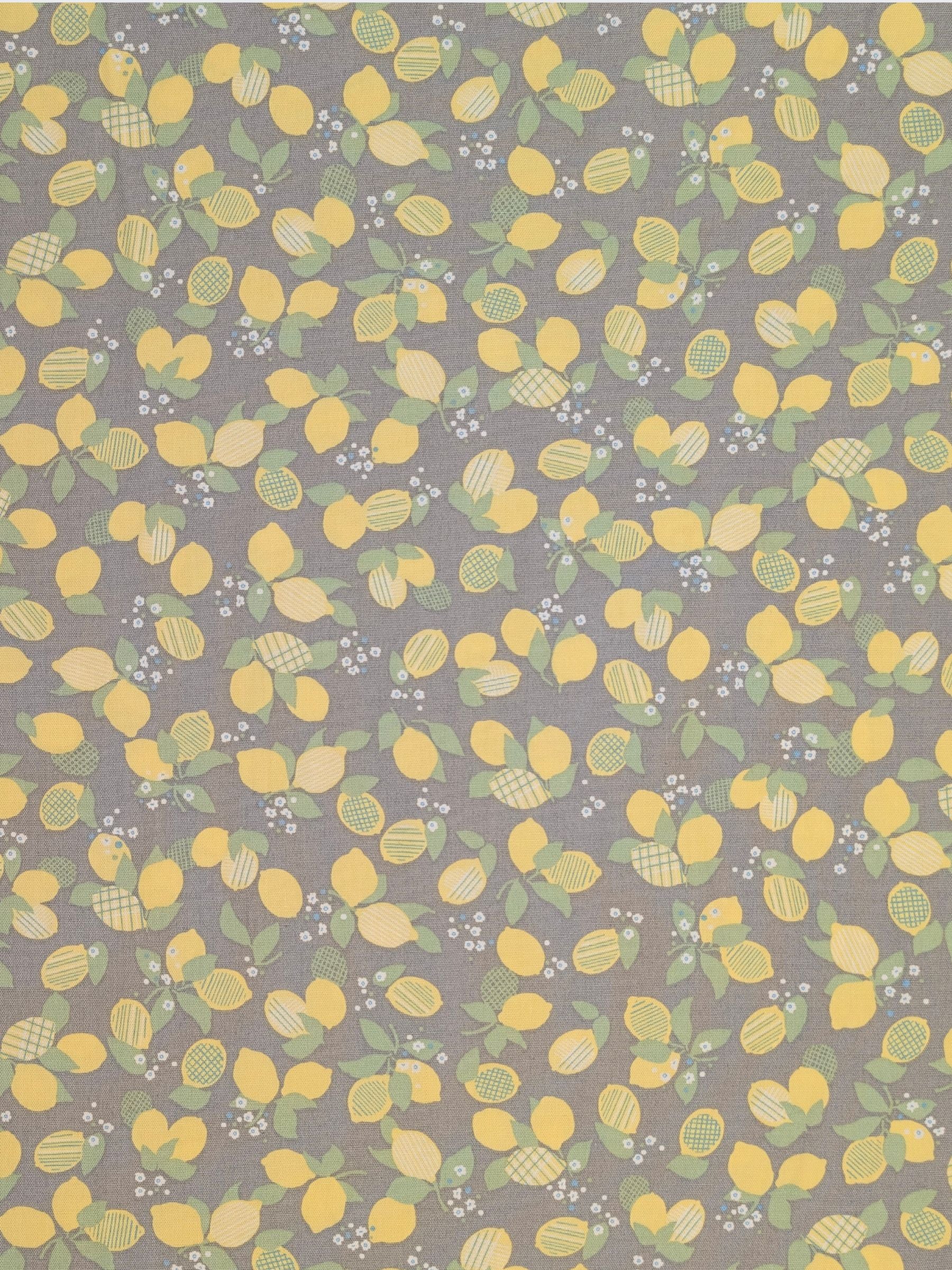 Koizumi - Lemon Bunches Cotton Oxford Fabric - Gray