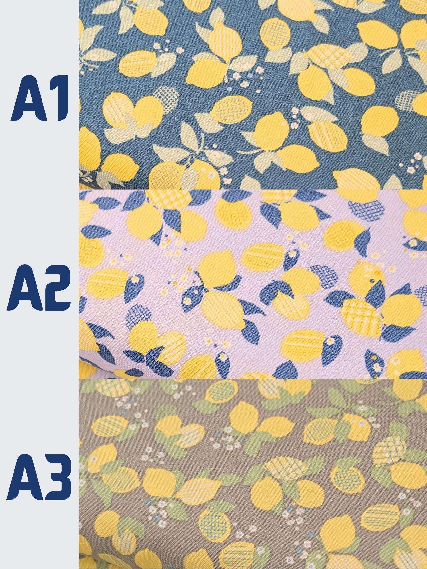 Koizumi - Lemon Bunches Cotton Oxford Fabric - Gray