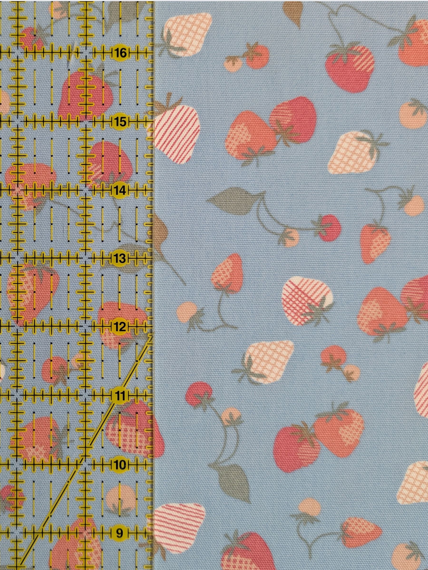 Koizumi - Summer Strawberries Cotton Oxford Fabric - Blue