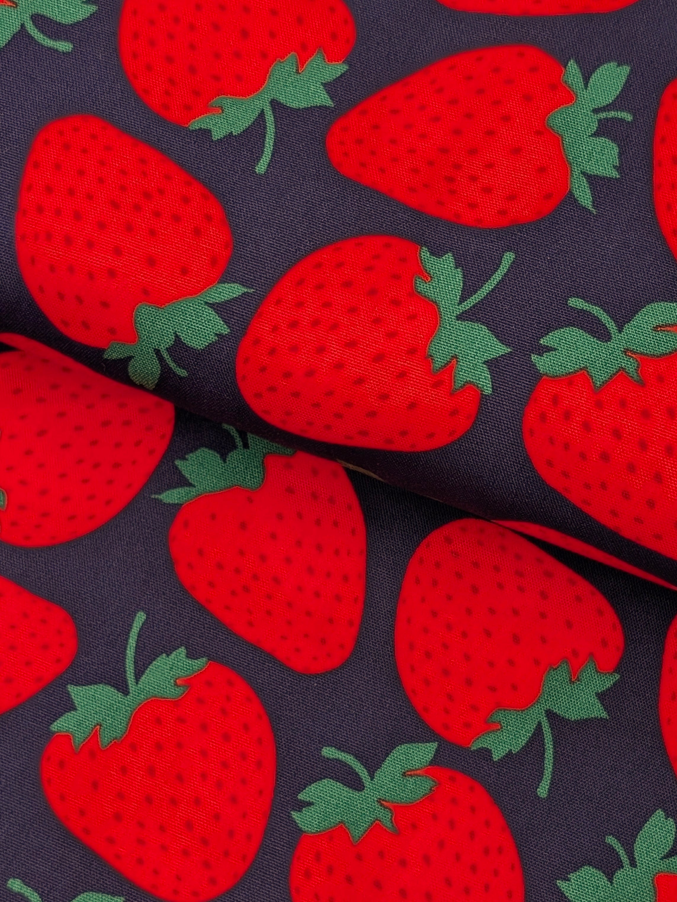 Sevenberry - Big Strawberries Oxford Canvas Cotton Fabric - Red & Blue