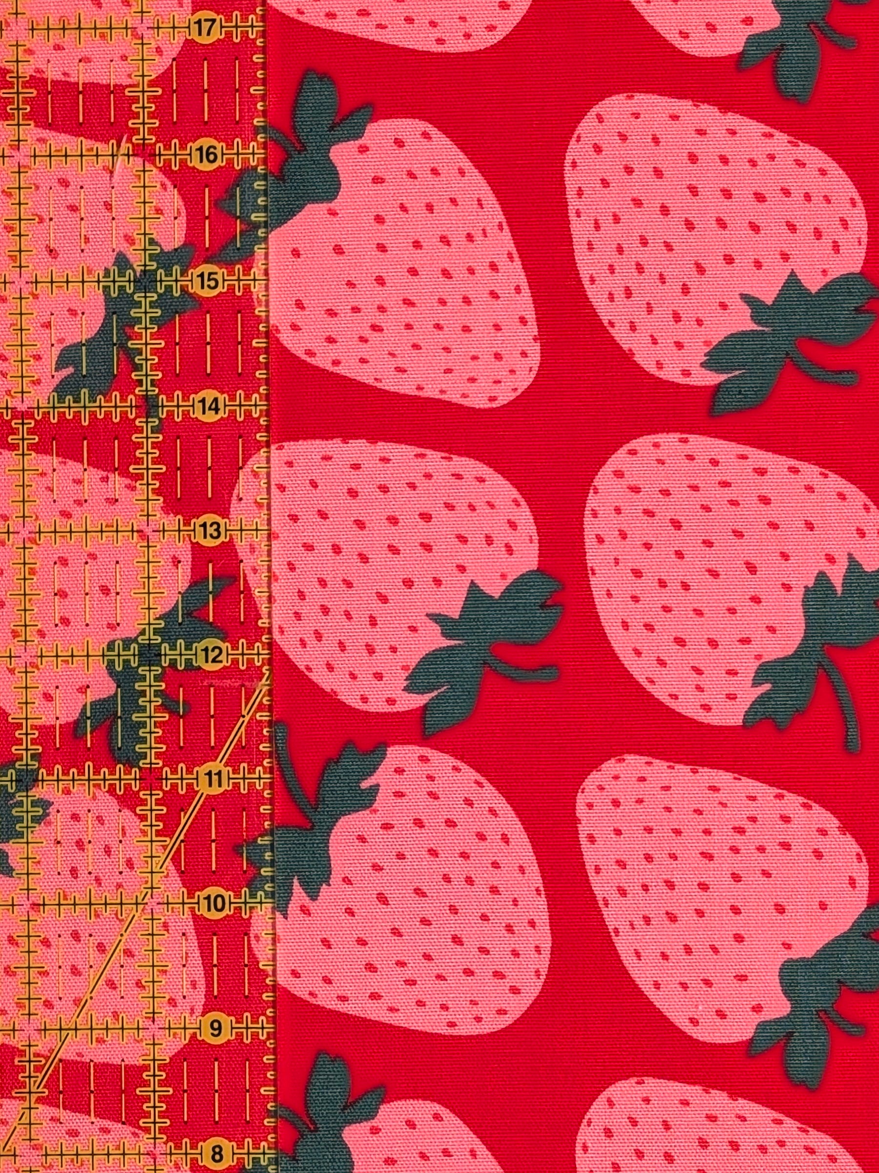 Sevenberry - Big Strawberries Oxford Canvas Cotton Fabric - Pink & Red