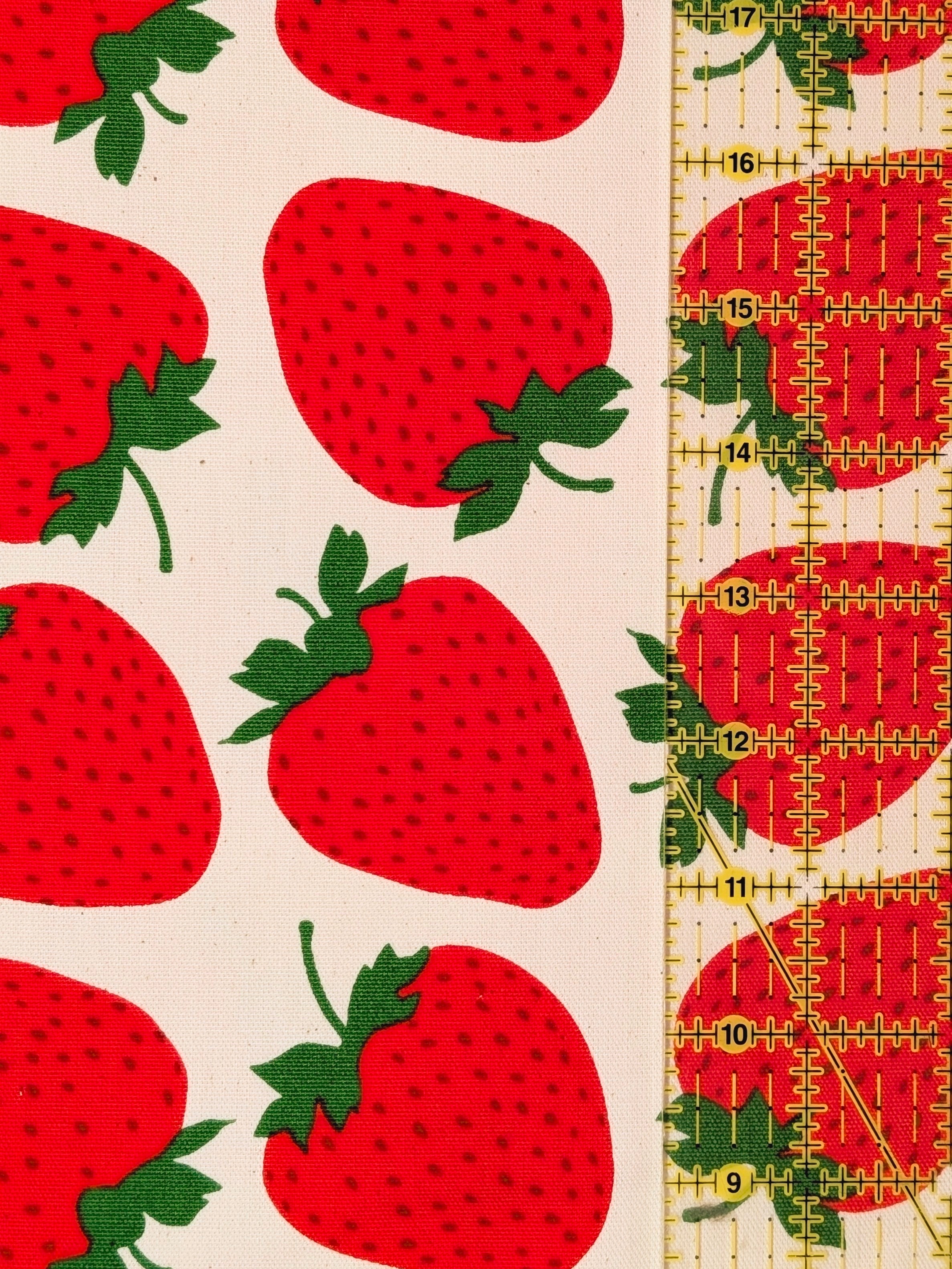 Sevenberry - Big Strawberries Oxford Canvas Cotton Fabric - Red & Beige