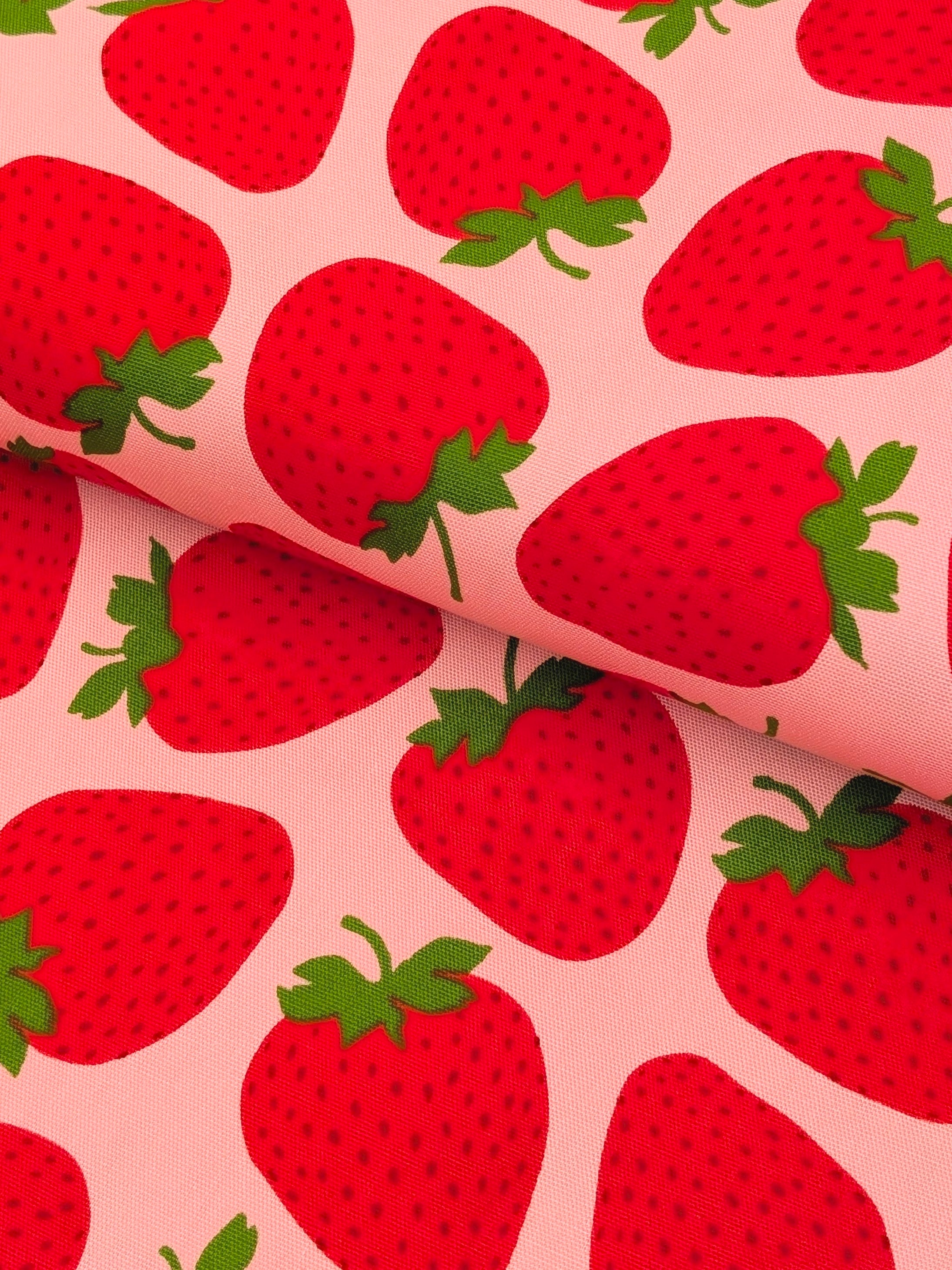 Sevenberry - Big Strawberries Oxford Canvas Cotton Fabric - Red & Pink