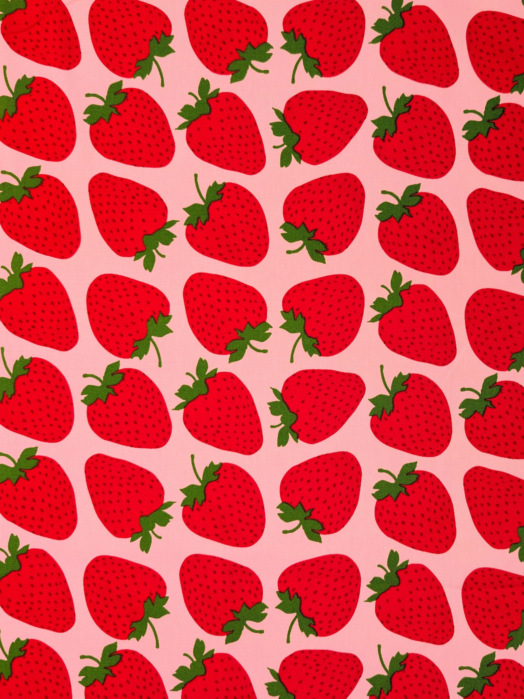 Sevenberry - Big Strawberries Oxford Canvas Cotton Fabric - Red & Pink
