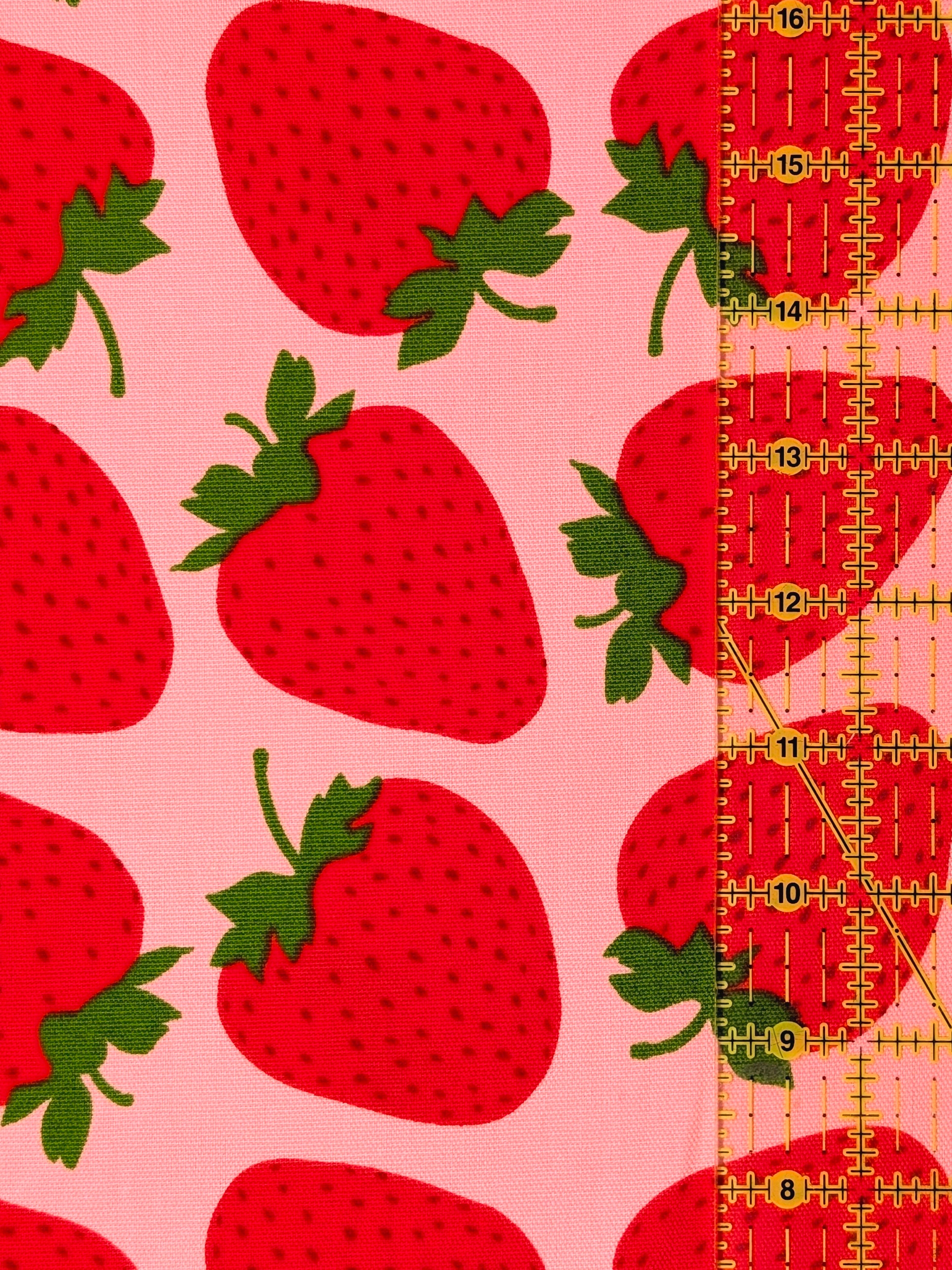 Sevenberry - Big Strawberries Oxford Canvas Cotton Fabric - Red & Pink