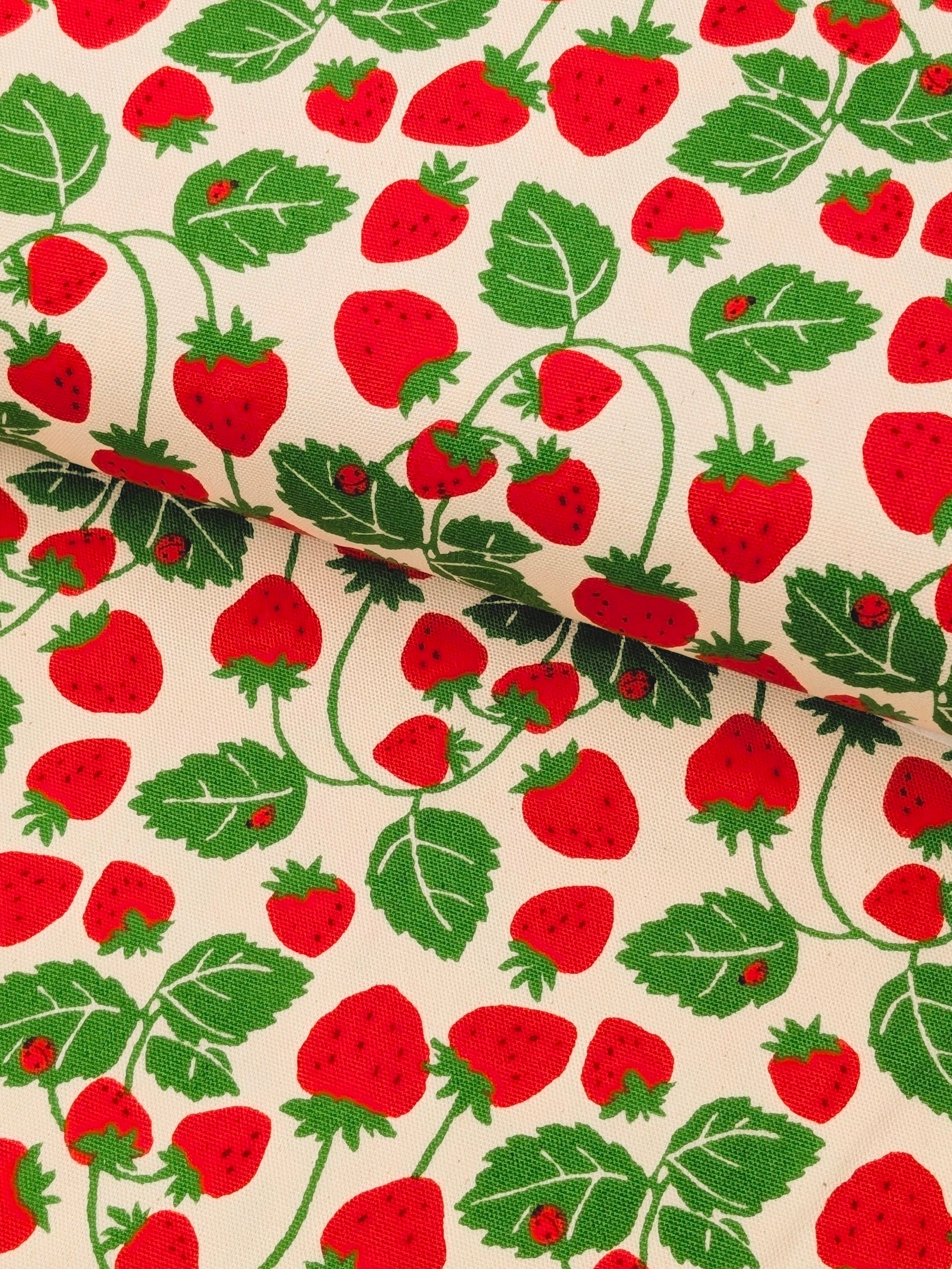 Sevenberry - Vining Strawberries Oxford Canvas Cotton Fabric - Red & Beige