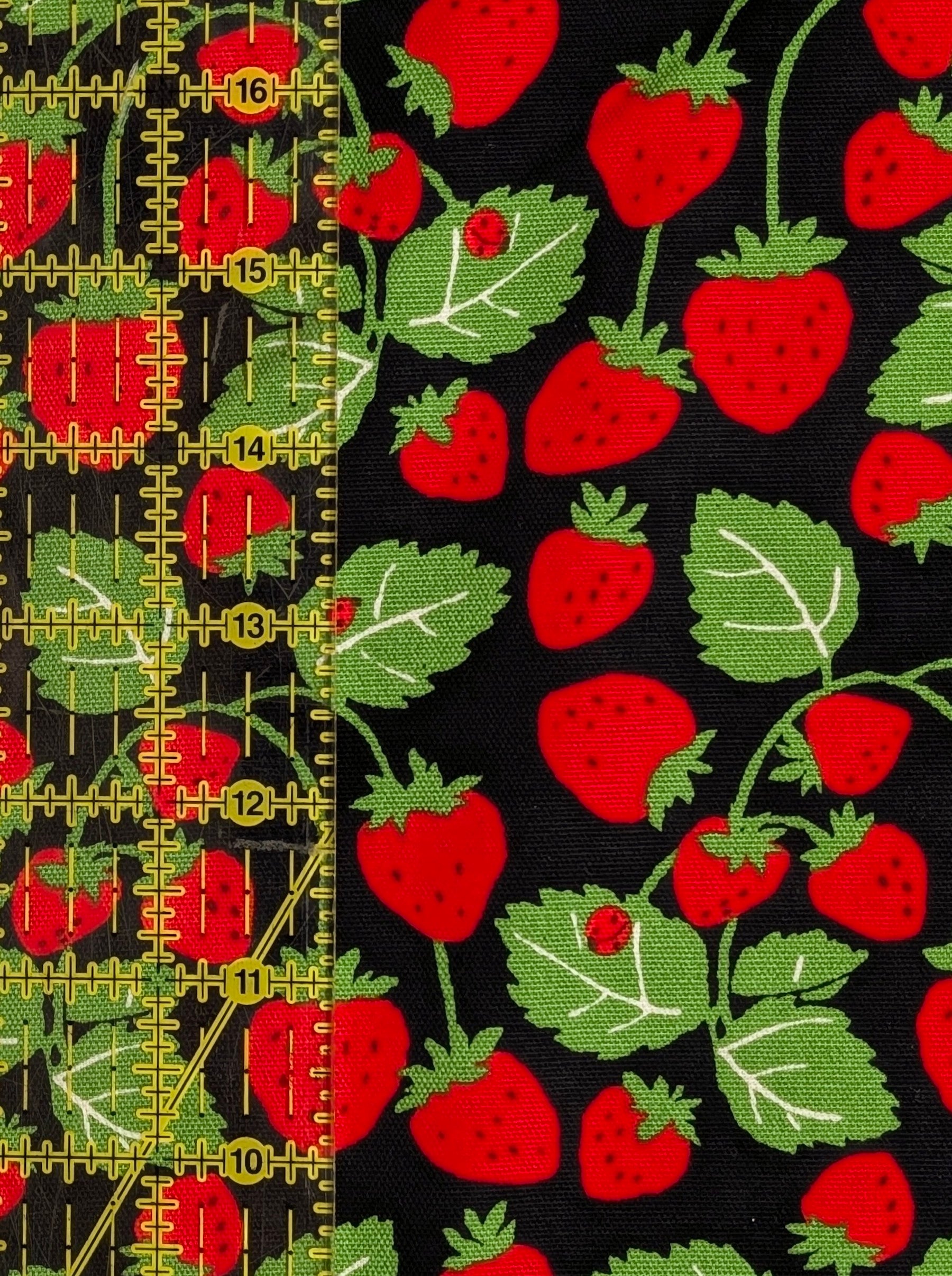 Sevenberry - Vining Strawberries Oxford Canvas Cotton Fabric - Red & Black