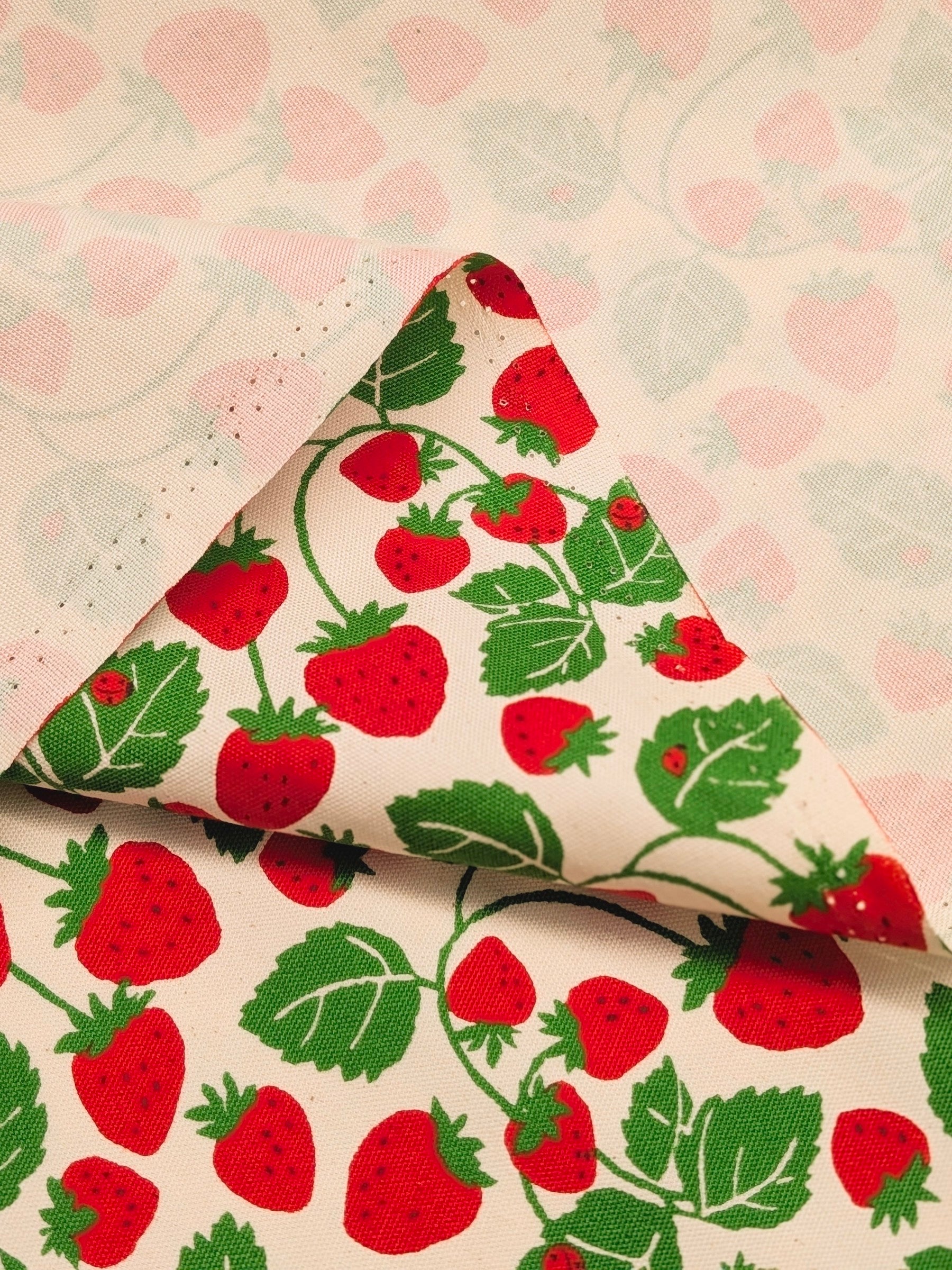 Sevenberry - Vining Strawberries Oxford Canvas Cotton Fabric - Red & Beige