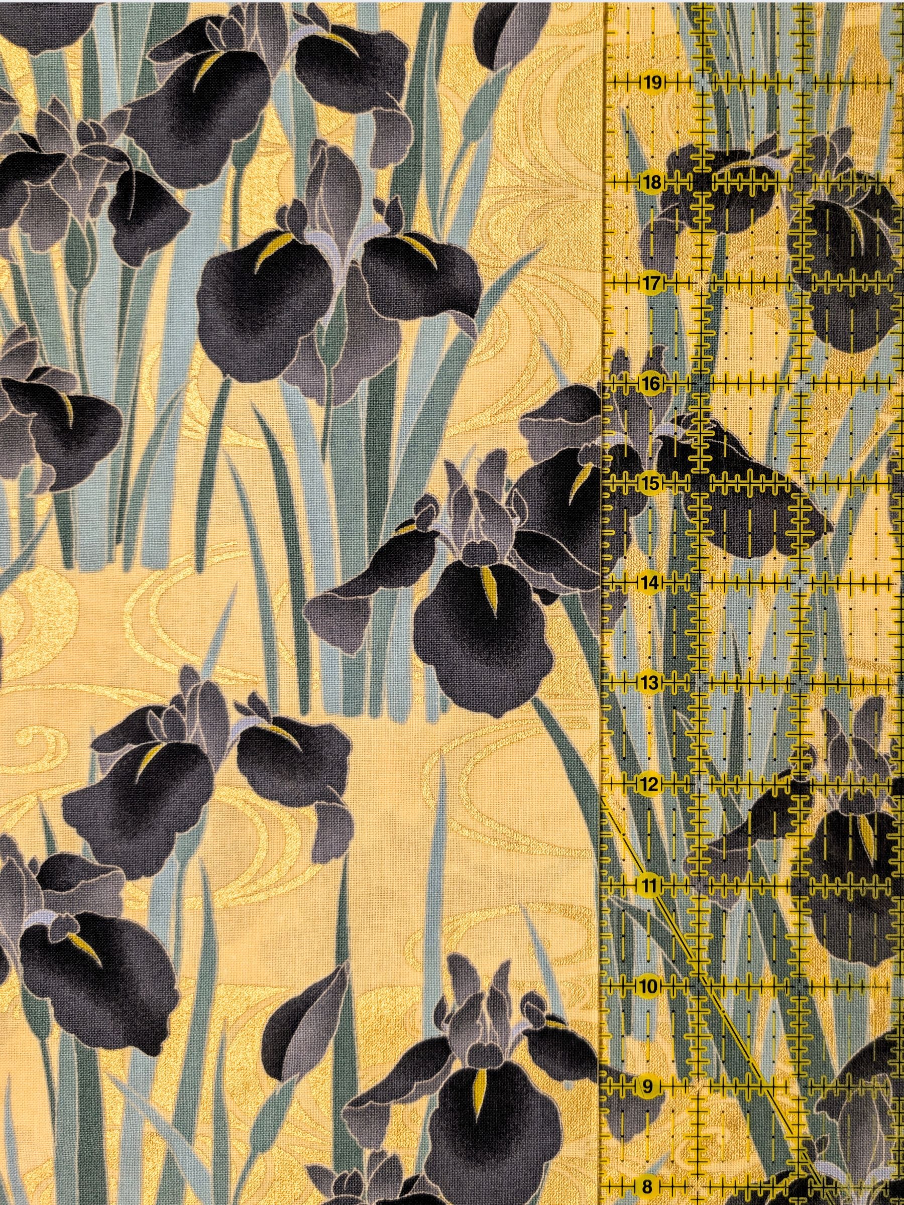 Naka - Golden Iris Cotton Sheeting Fabric - Black