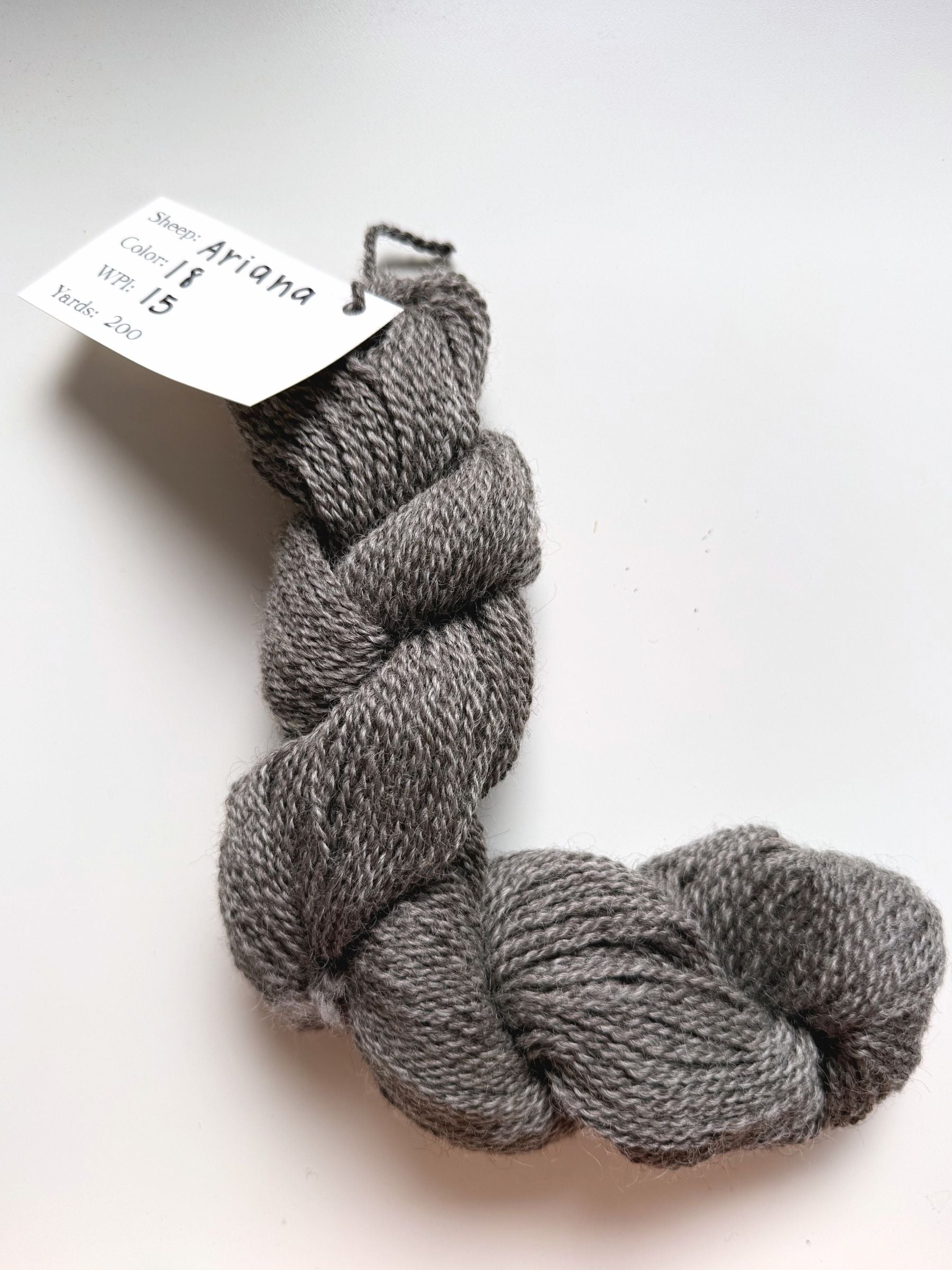 Spoiled Sheep - Leicester Longwool Wool Yarn 200yd - Ariana #18 Gray