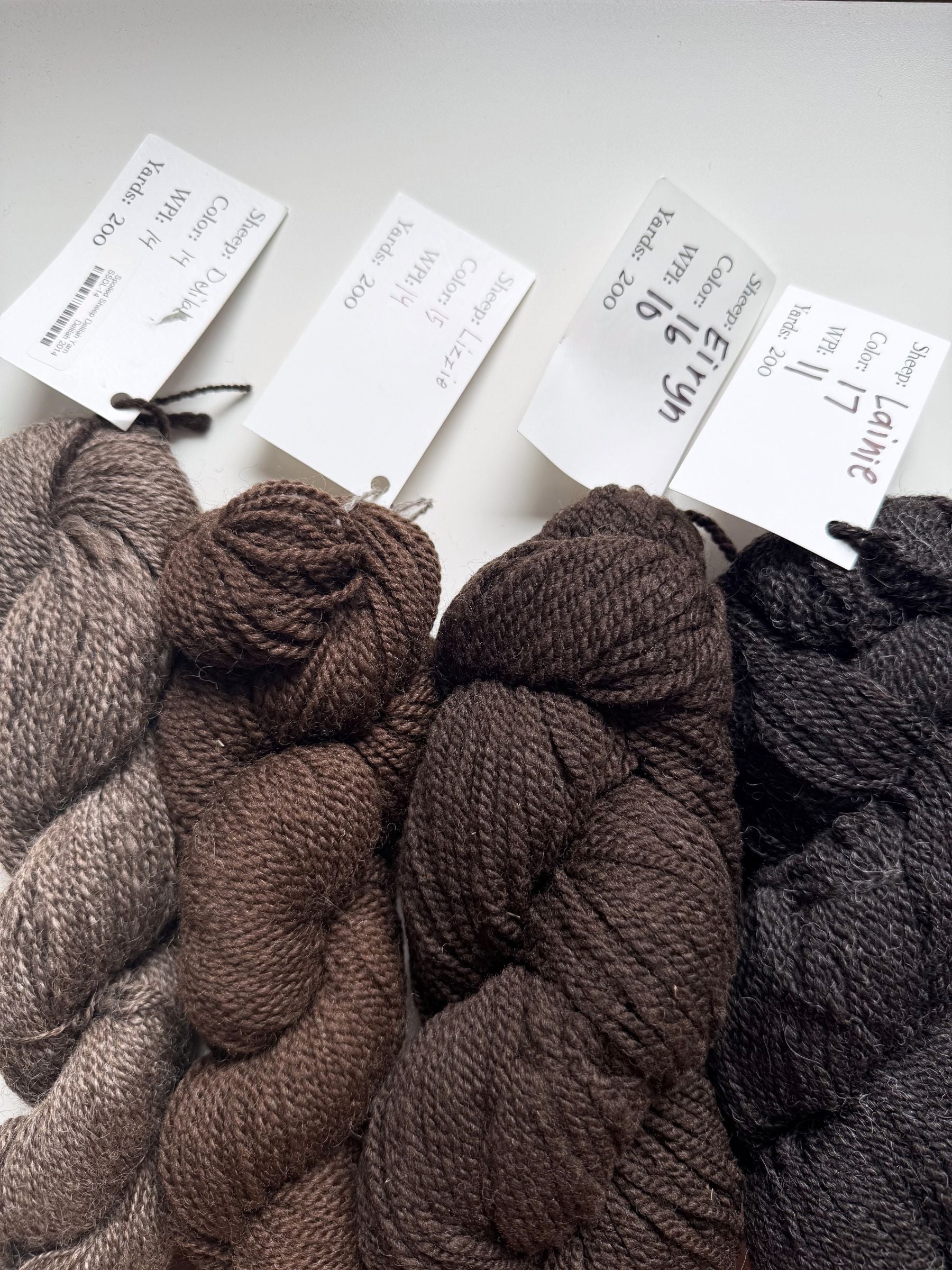 Spoiled Sheep - Corriedale Wool Yarn 200yd - Eiryn #16 Cocoa Brown