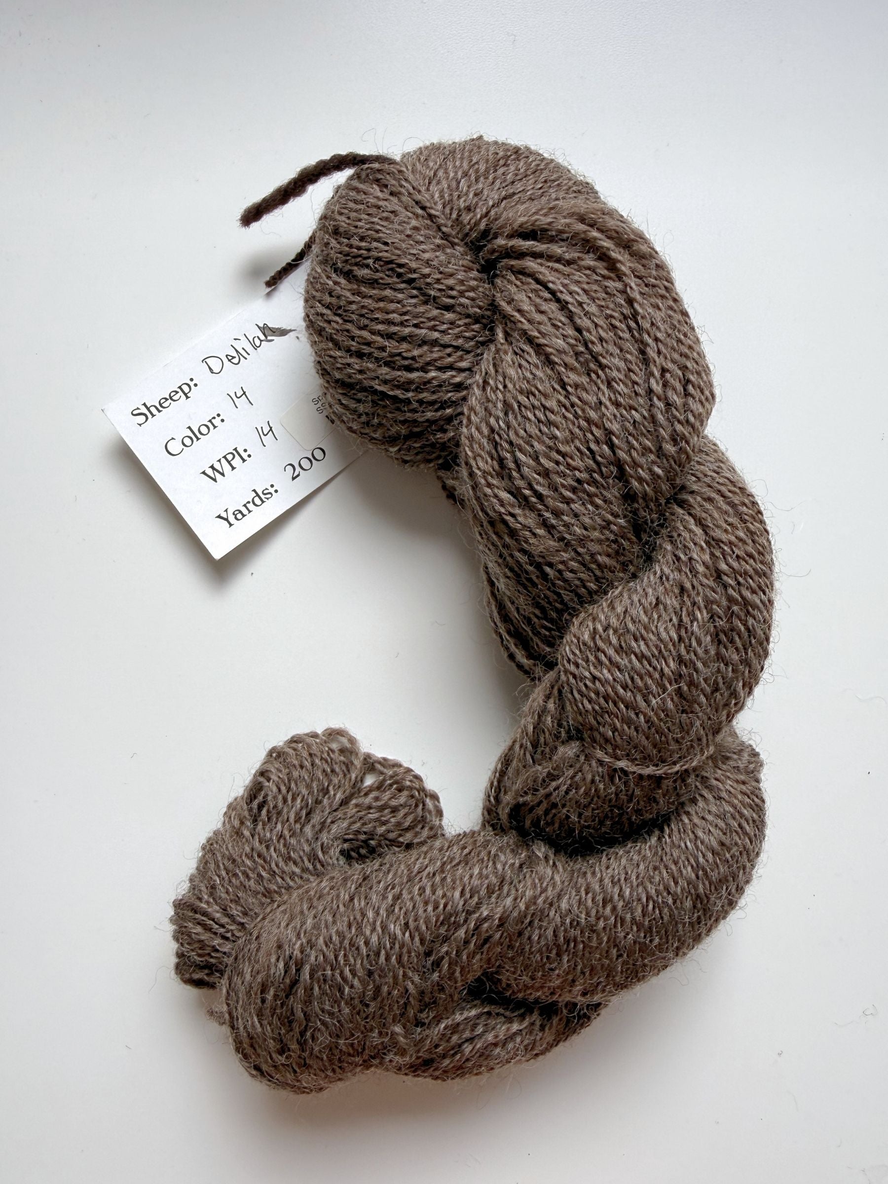 Spoiled Sheep - Romney Wool Yarn 200yd - Delilah #14 Ash Brown