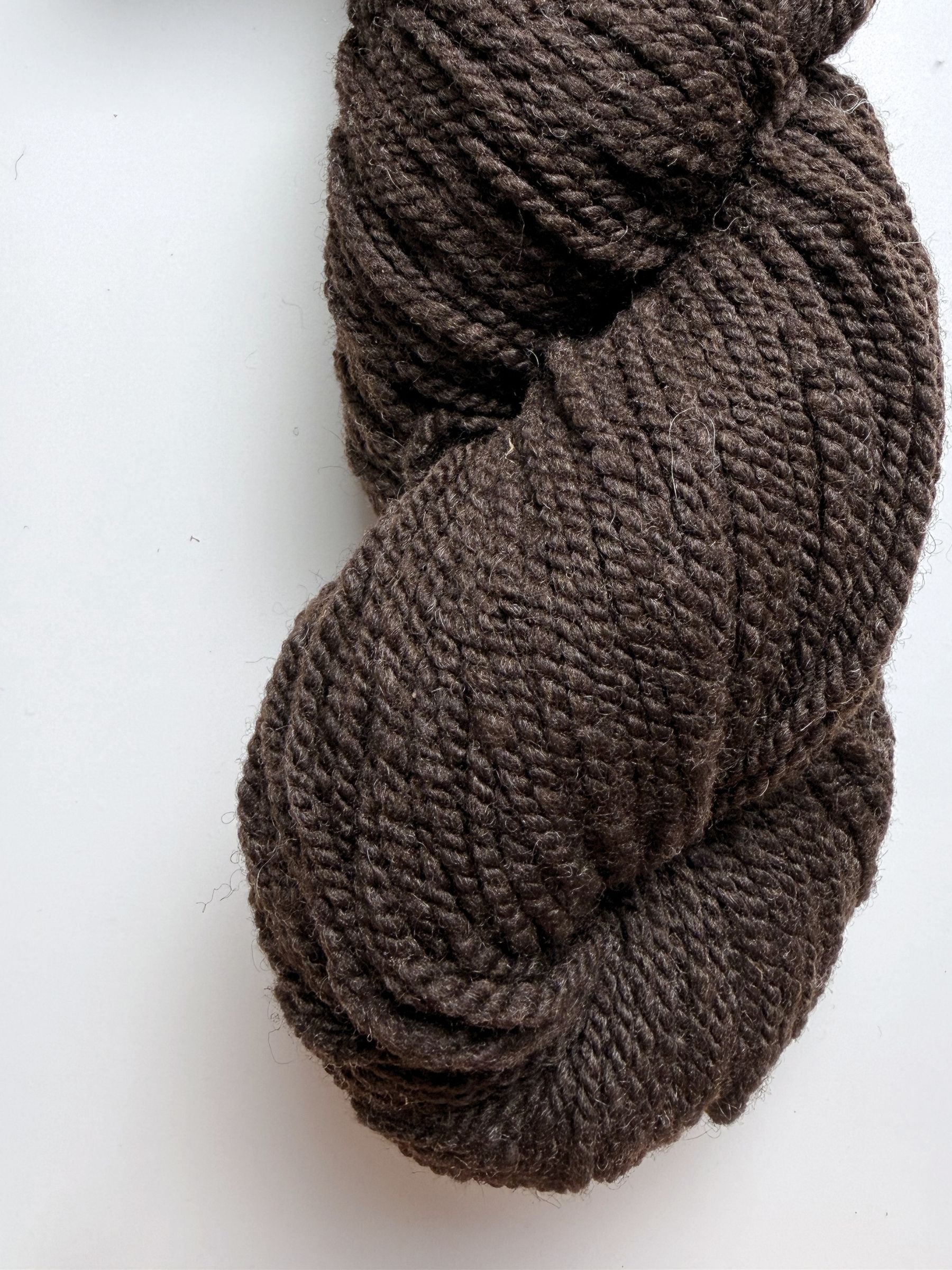 Spoiled Sheep - Corriedale Wool Yarn 200yd - Eiryn #16 Cocoa Brown