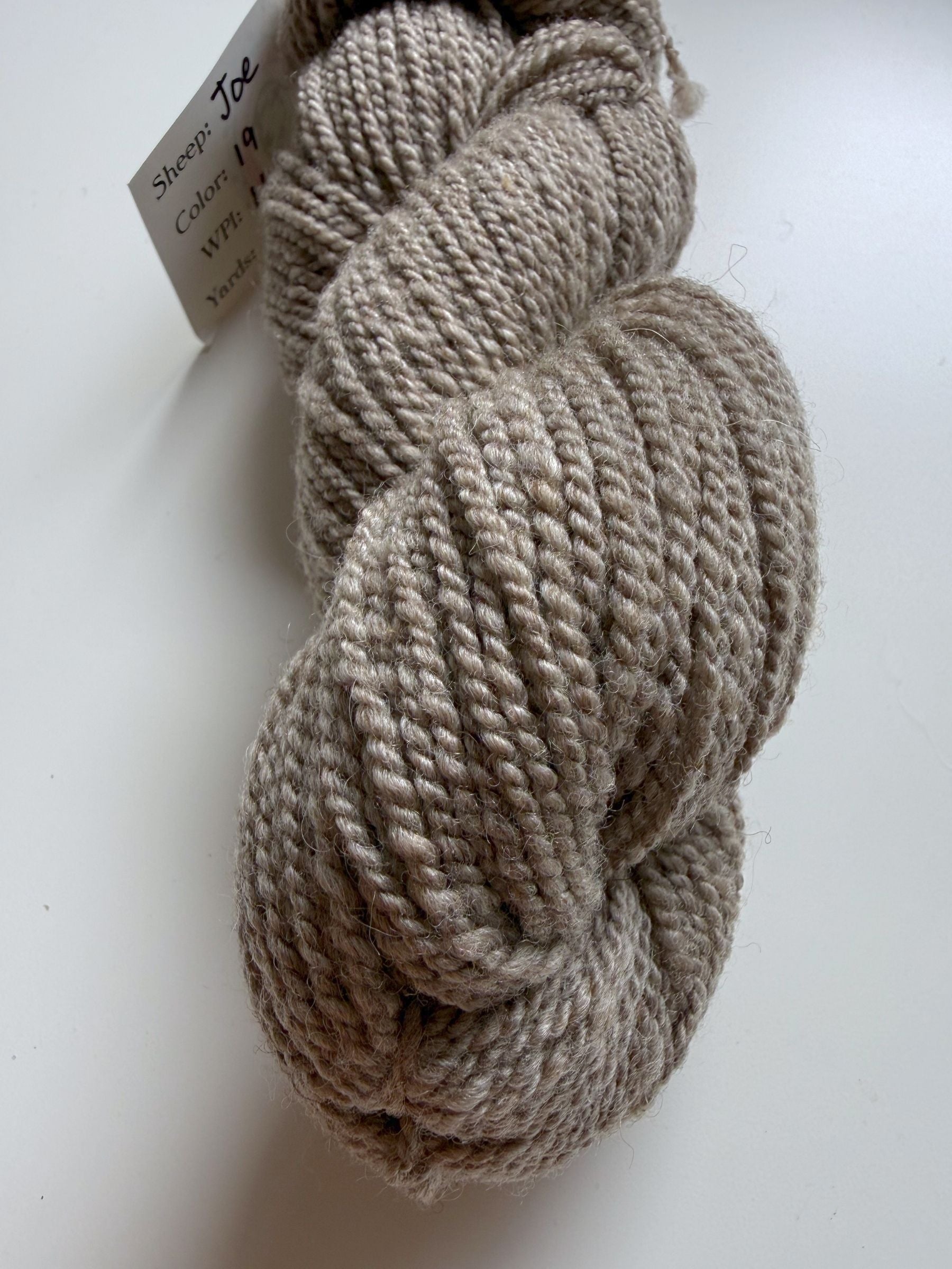Spoiled Sheep - Romney/Rambouillet Wool Yarn 200yd - Joe #19 Gray