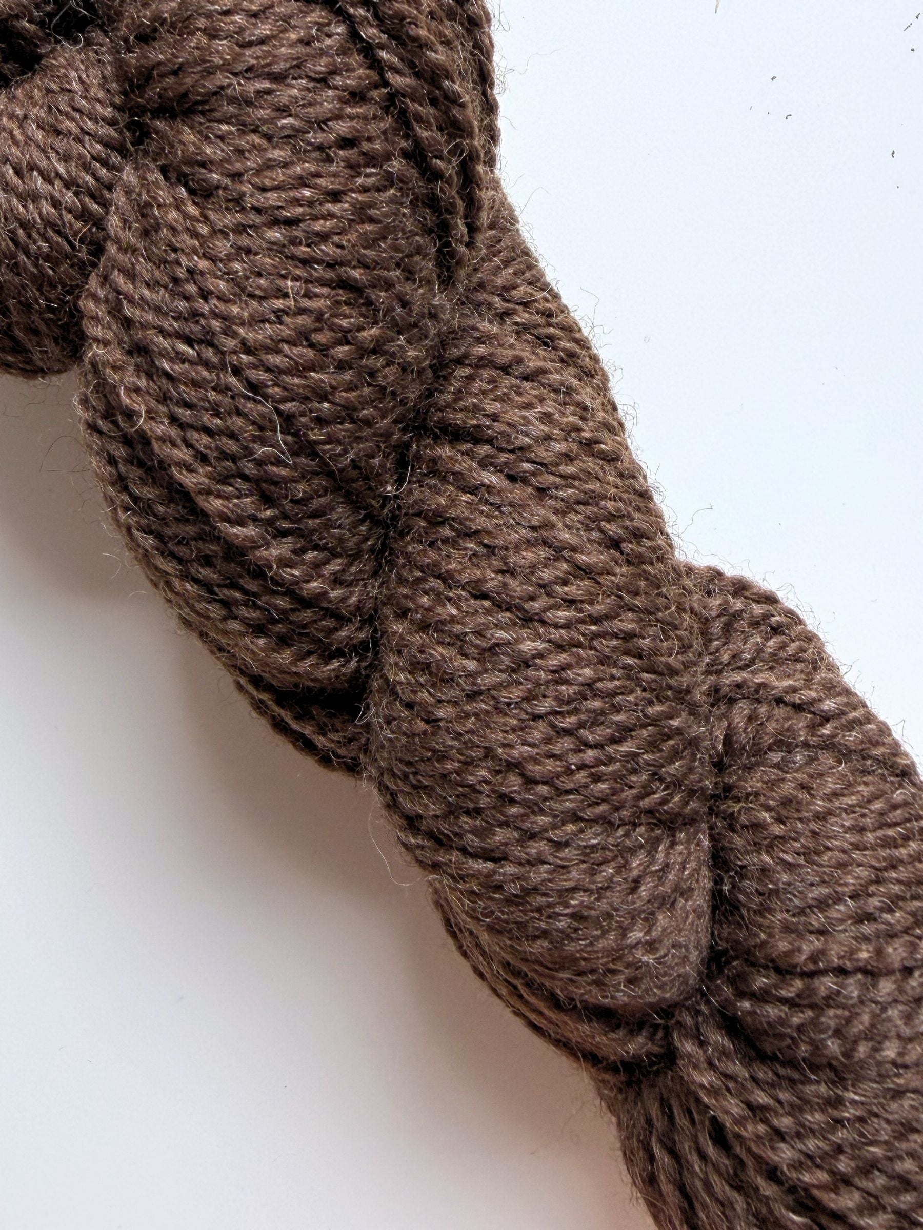 Spoiled Sheep - Romney/Rambouillet Wool Yarn 200yd - Lizzie #15 Rich Brown