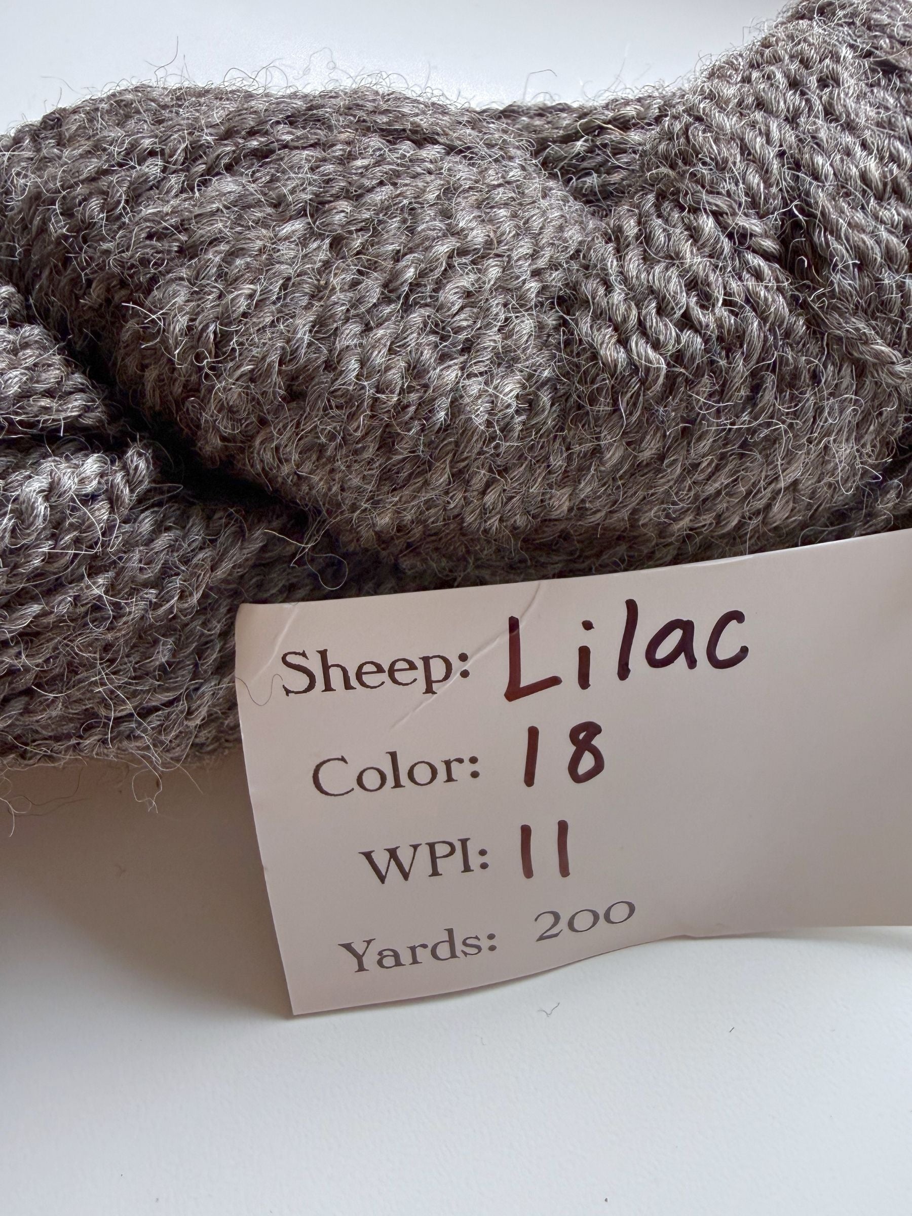 Spoiled Sheep - Suffolk/Finn/Merino Wool Yarn 200yd - Lilac #18 Dark Gray