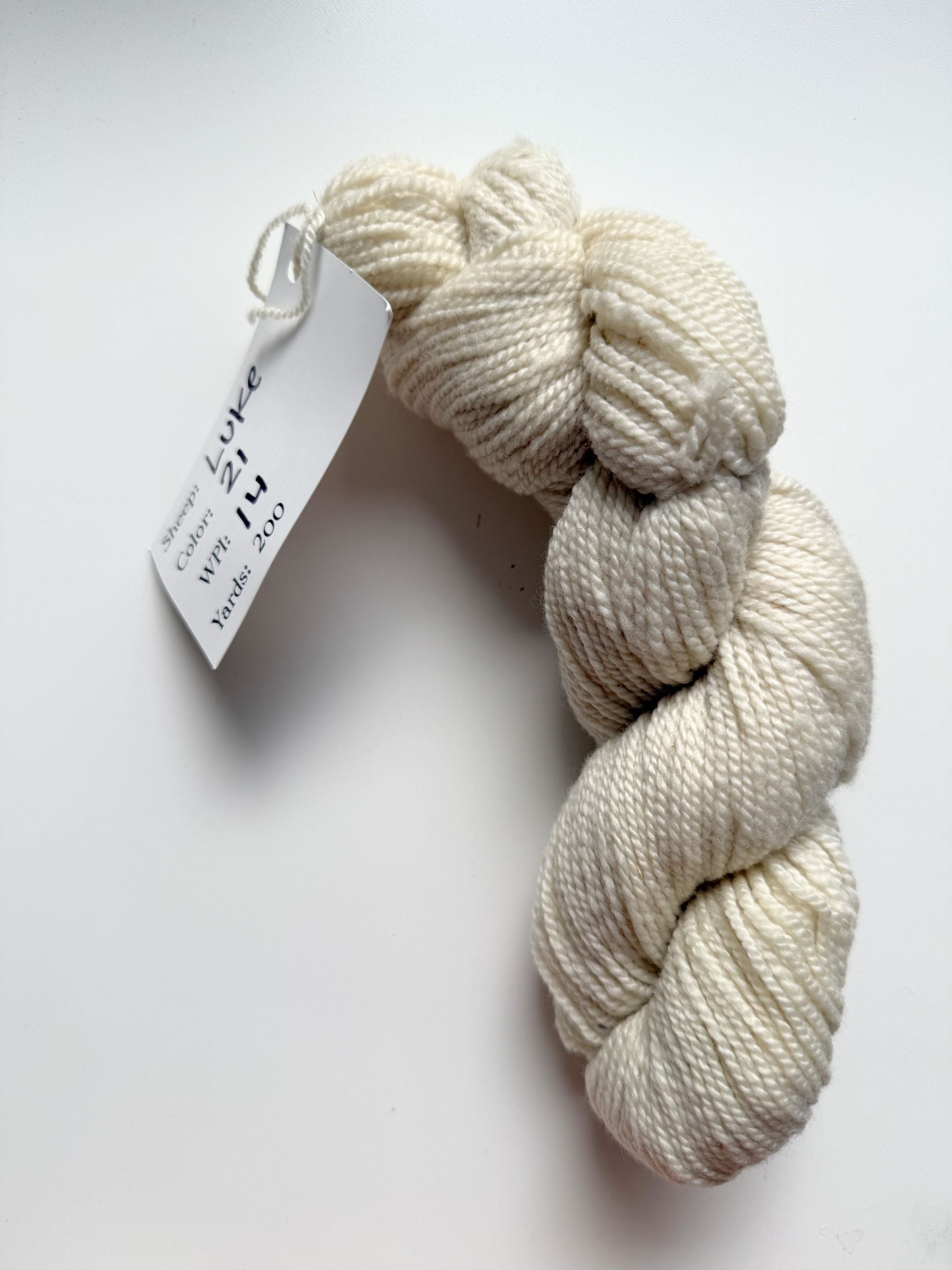 Spoiled Sheep - Corriedale/Rambouillet Wool Yarn 200yd - Luke #21 Natural White