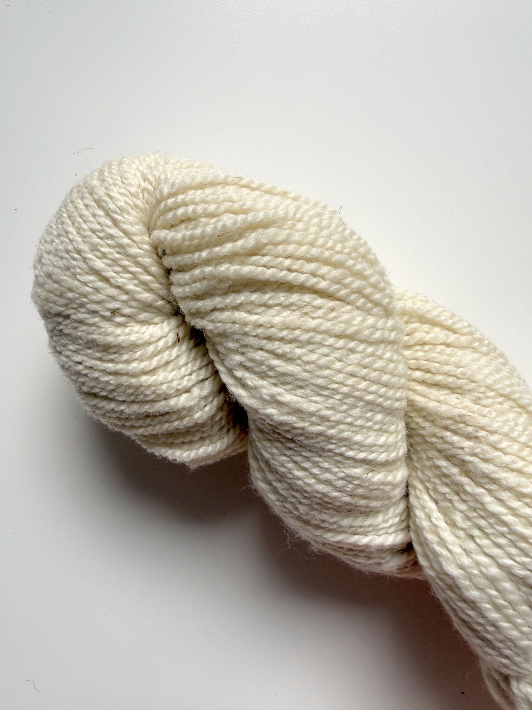 Spoiled Sheep - Corriedale/Rambouillet Wool Yarn 200yd - Luke #21 Natural White