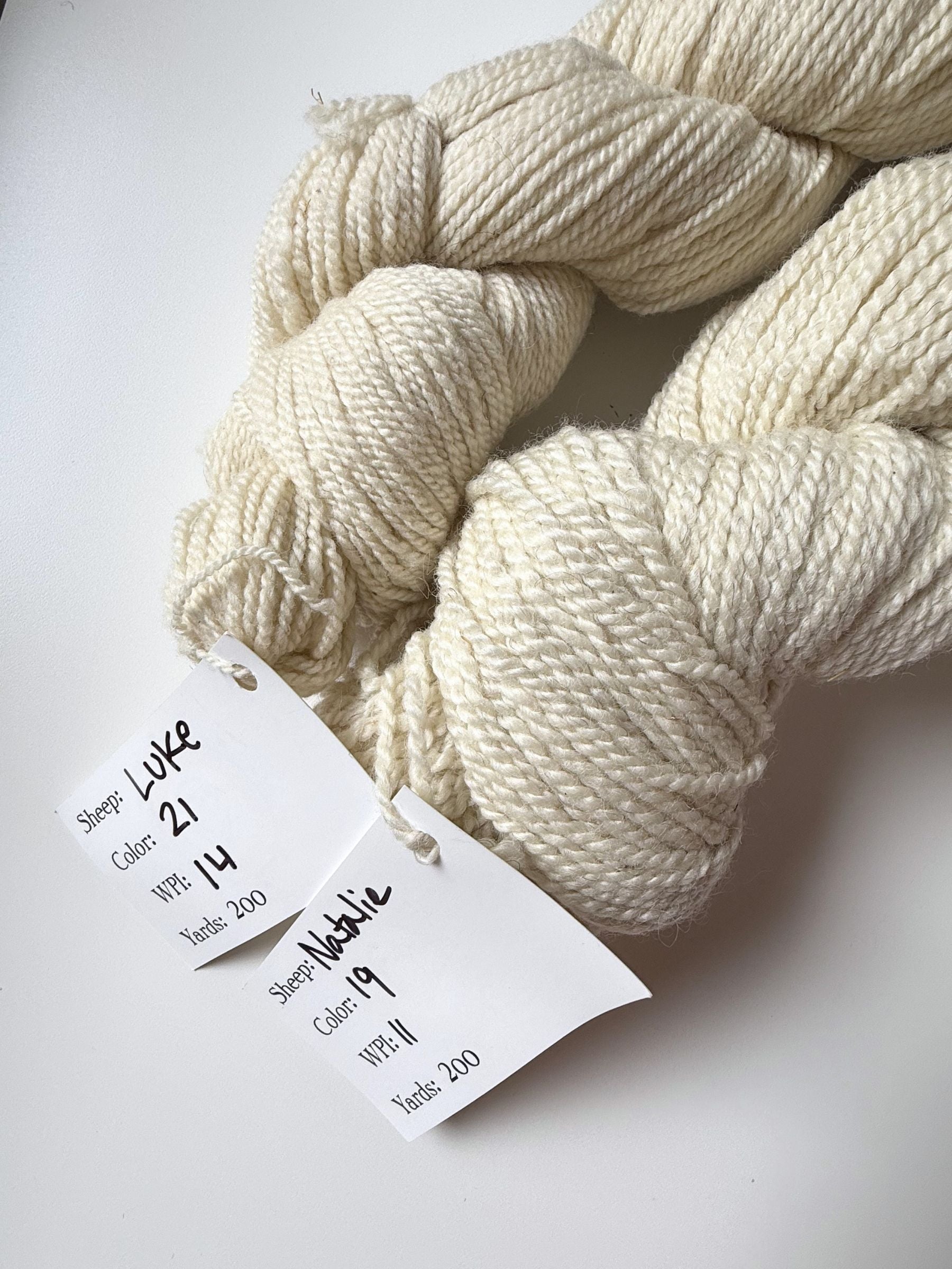 Spoiled Sheep - Wensleydale/Rambouillet Wool Yarn 200yd - Natalie #19 Natural White