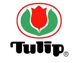 Tulip - Knina Swivel Circular Knitting Needles 32" (80cm) Cord - Bamboo