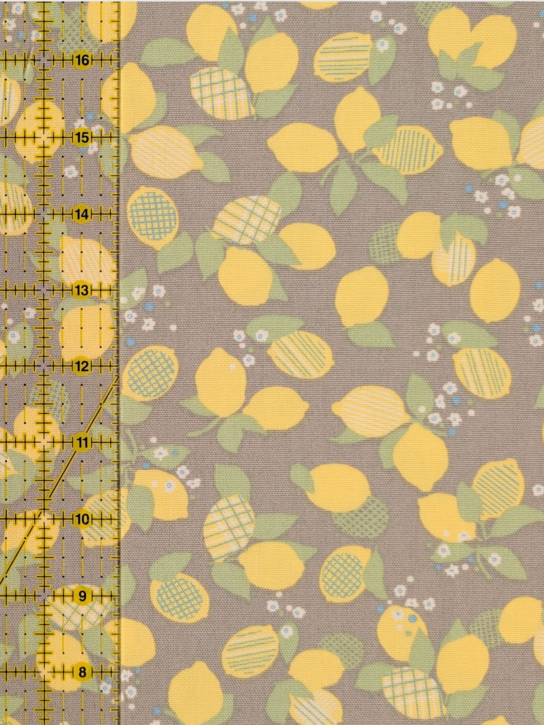 Koizumi - Lemon Bunches Cotton Oxford Fabric - Gray