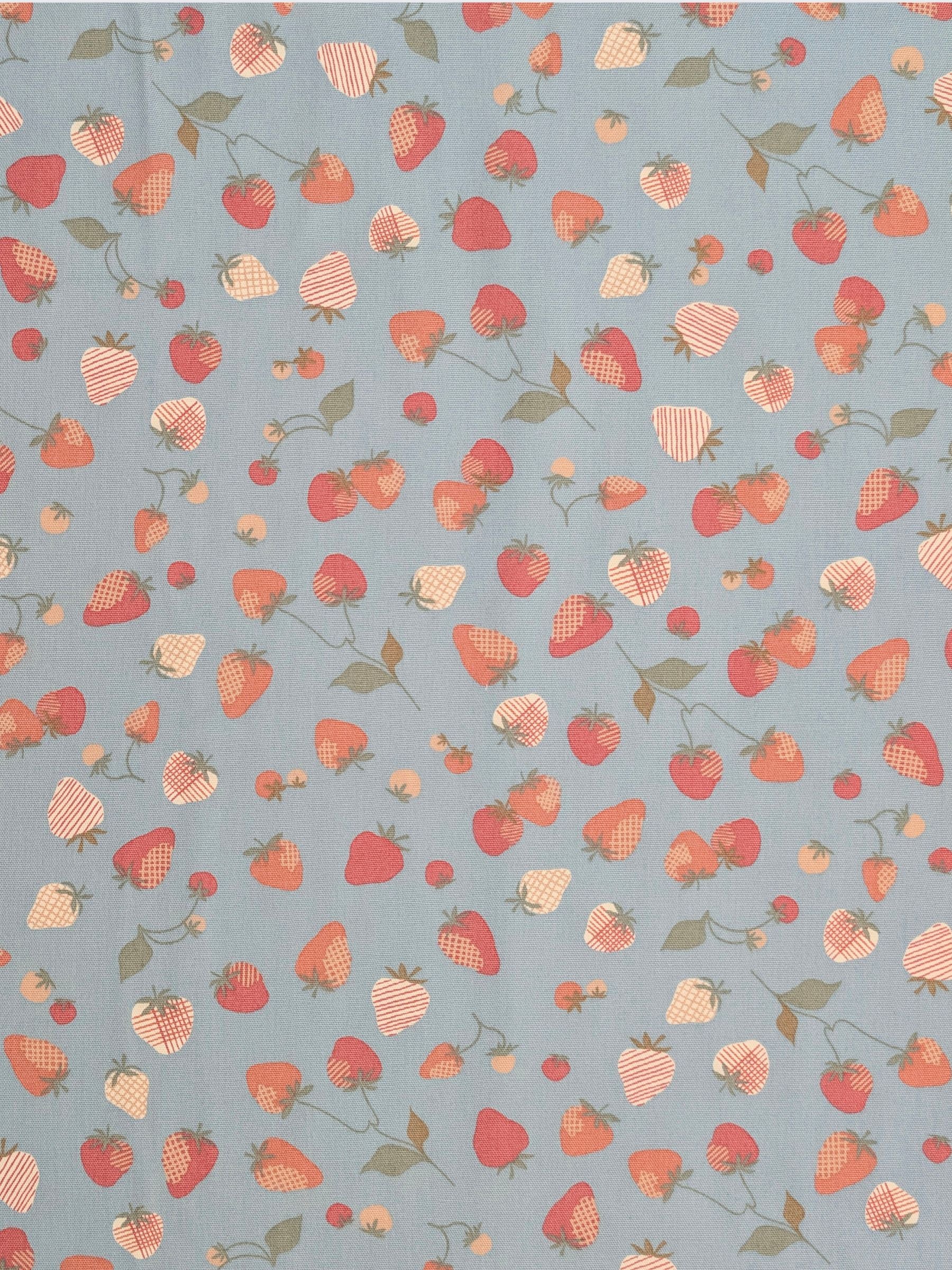 Koizumi - Summer Strawberries Cotton Oxford Fabric - Blue