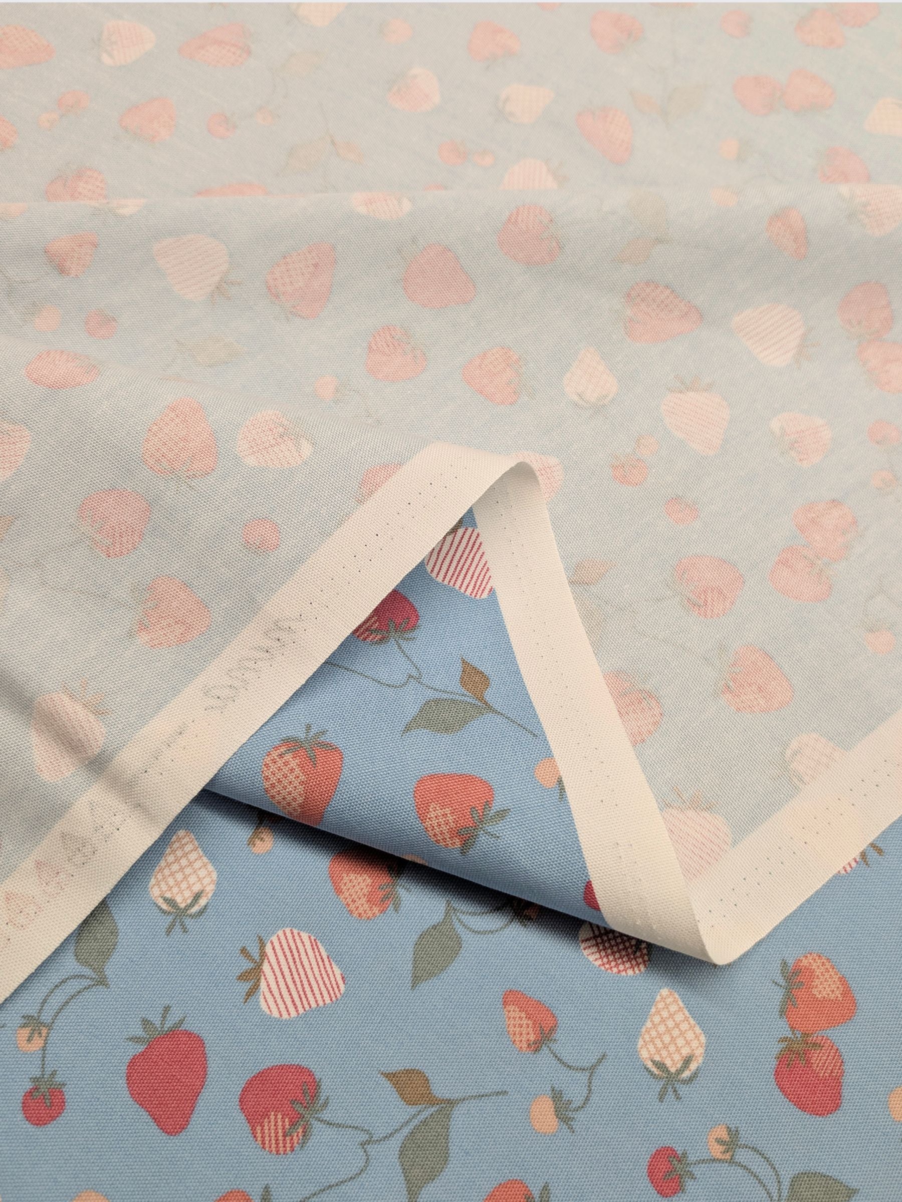 Koizumi - Summer Strawberries Cotton Oxford Fabric - Blue