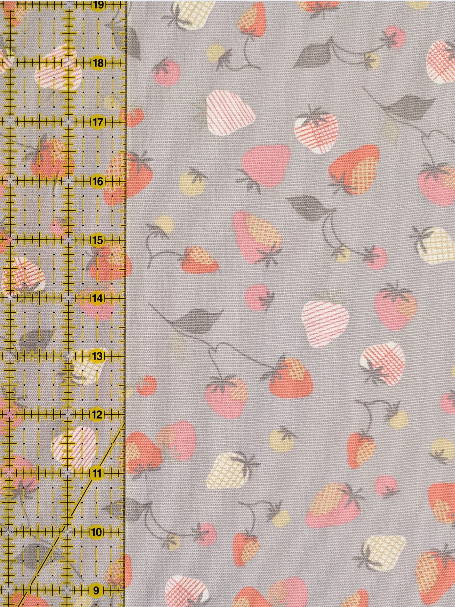 Koizumi - Summer Strawberries Cotton Oxford Fabric - Gray