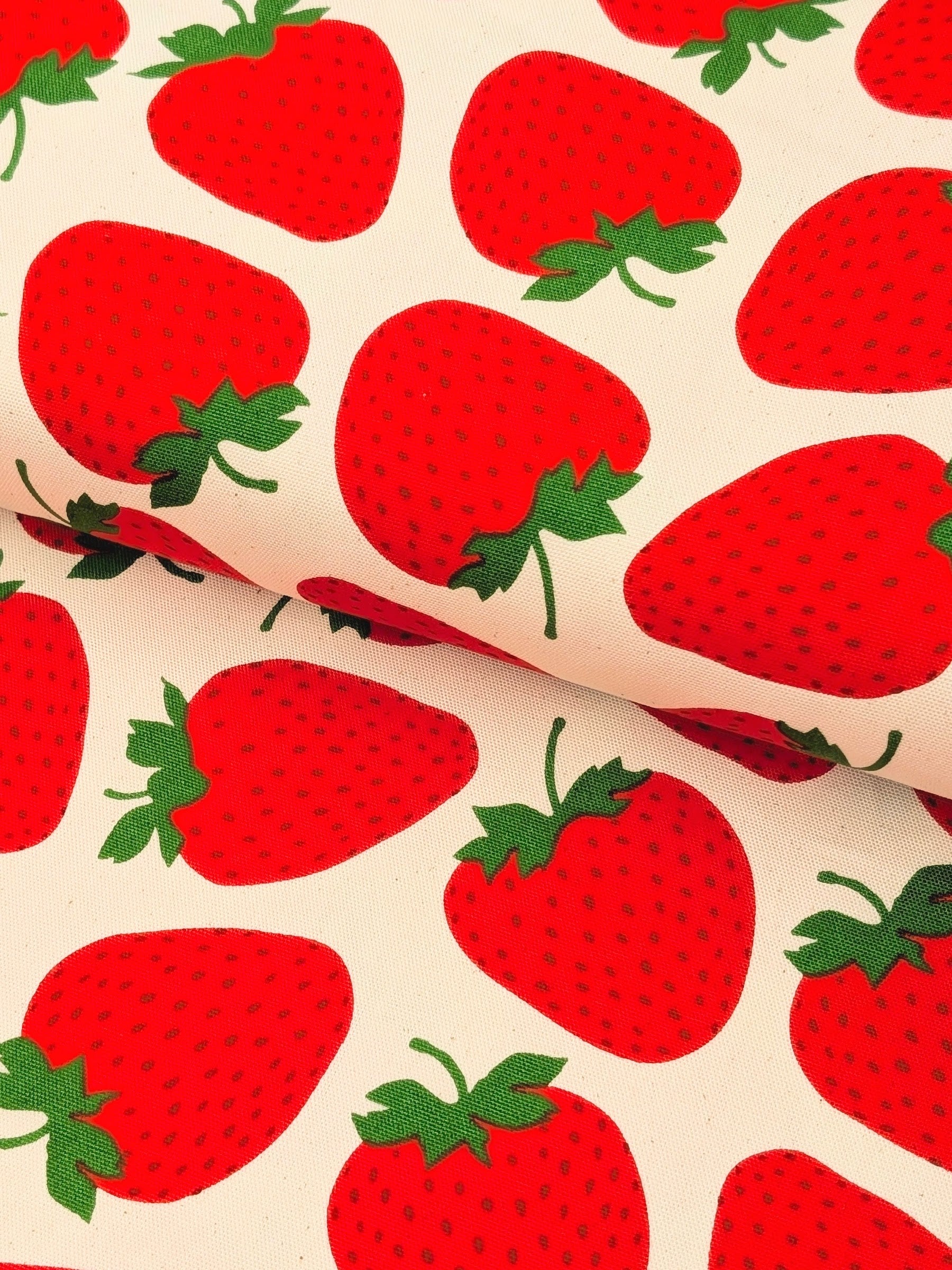 Sevenberry - Big Strawberries Oxford Canvas Cotton Fabric - Red & Beige