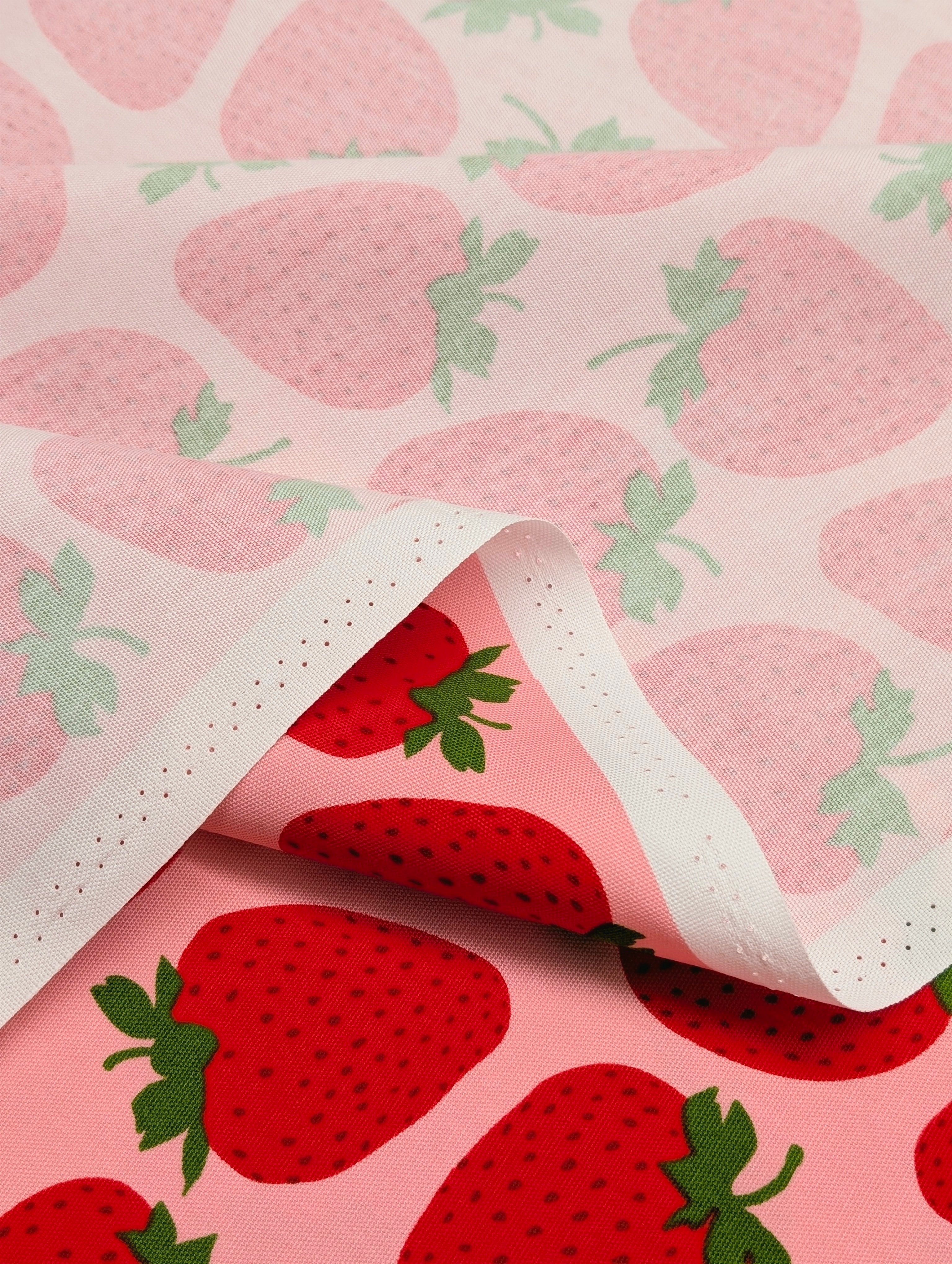 Sevenberry - Big Strawberries Oxford Canvas Cotton Fabric - Red & Pink