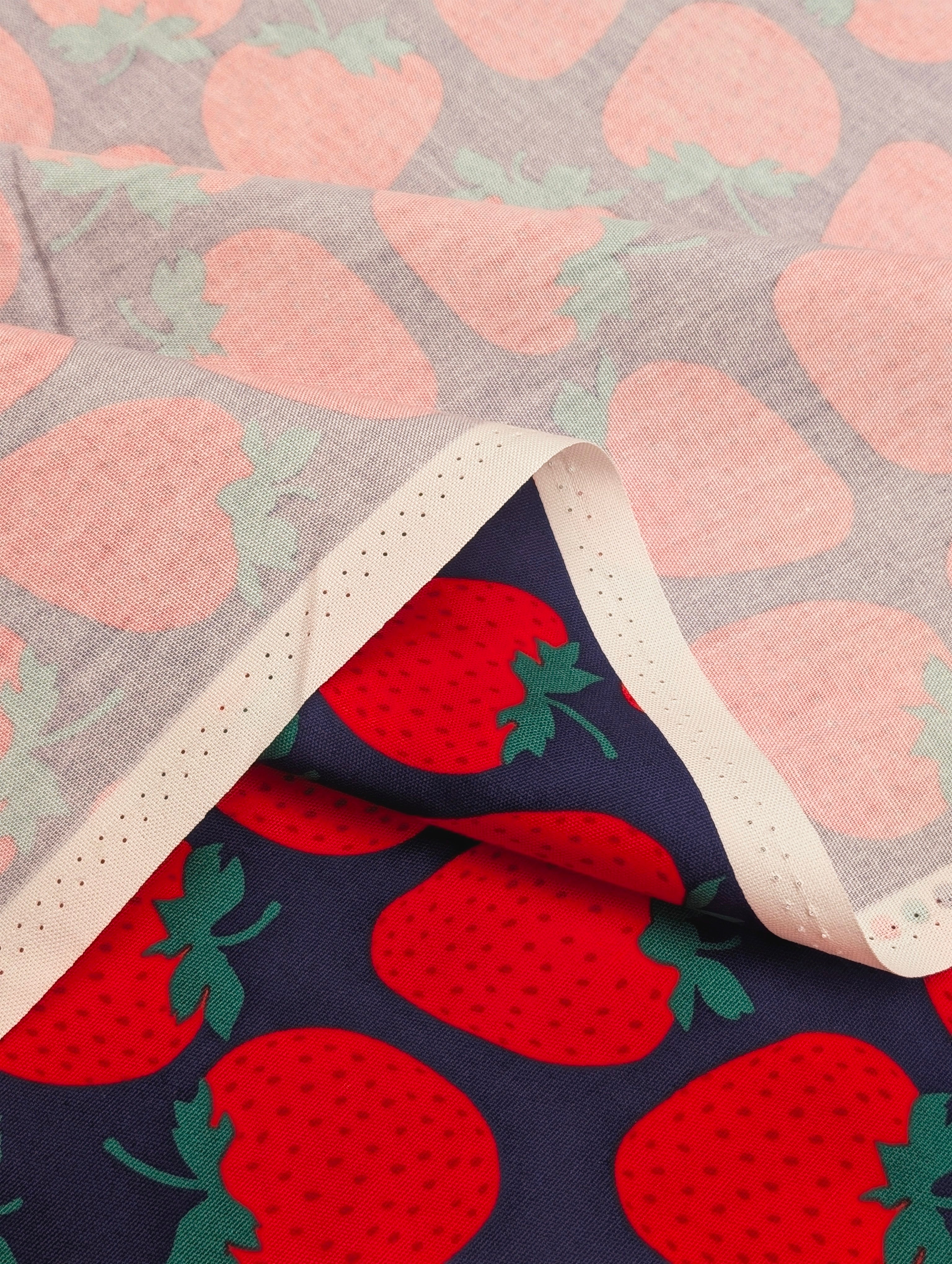 Sevenberry - Big Strawberries Oxford Canvas Cotton Fabric - Red & Blue