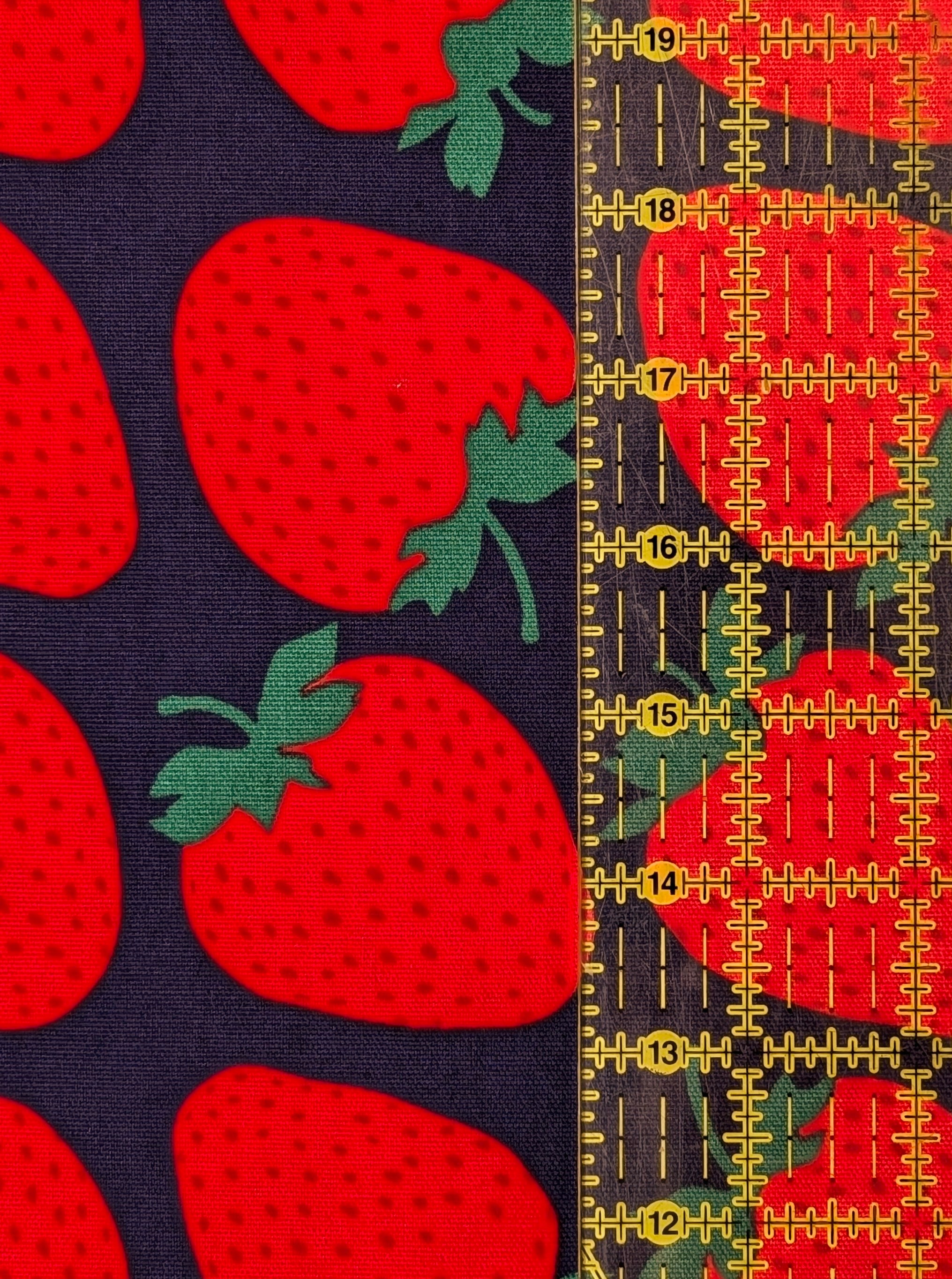 Sevenberry - Big Strawberries Oxford Canvas Cotton Fabric - Red & Blue