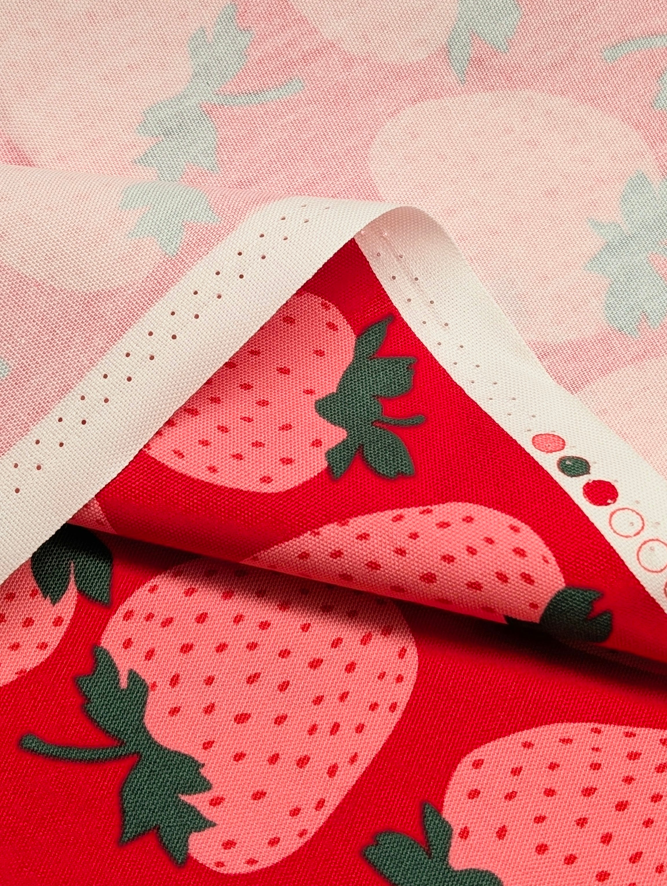 Sevenberry - Big Strawberries Oxford Canvas Cotton Fabric - Pink & Red
