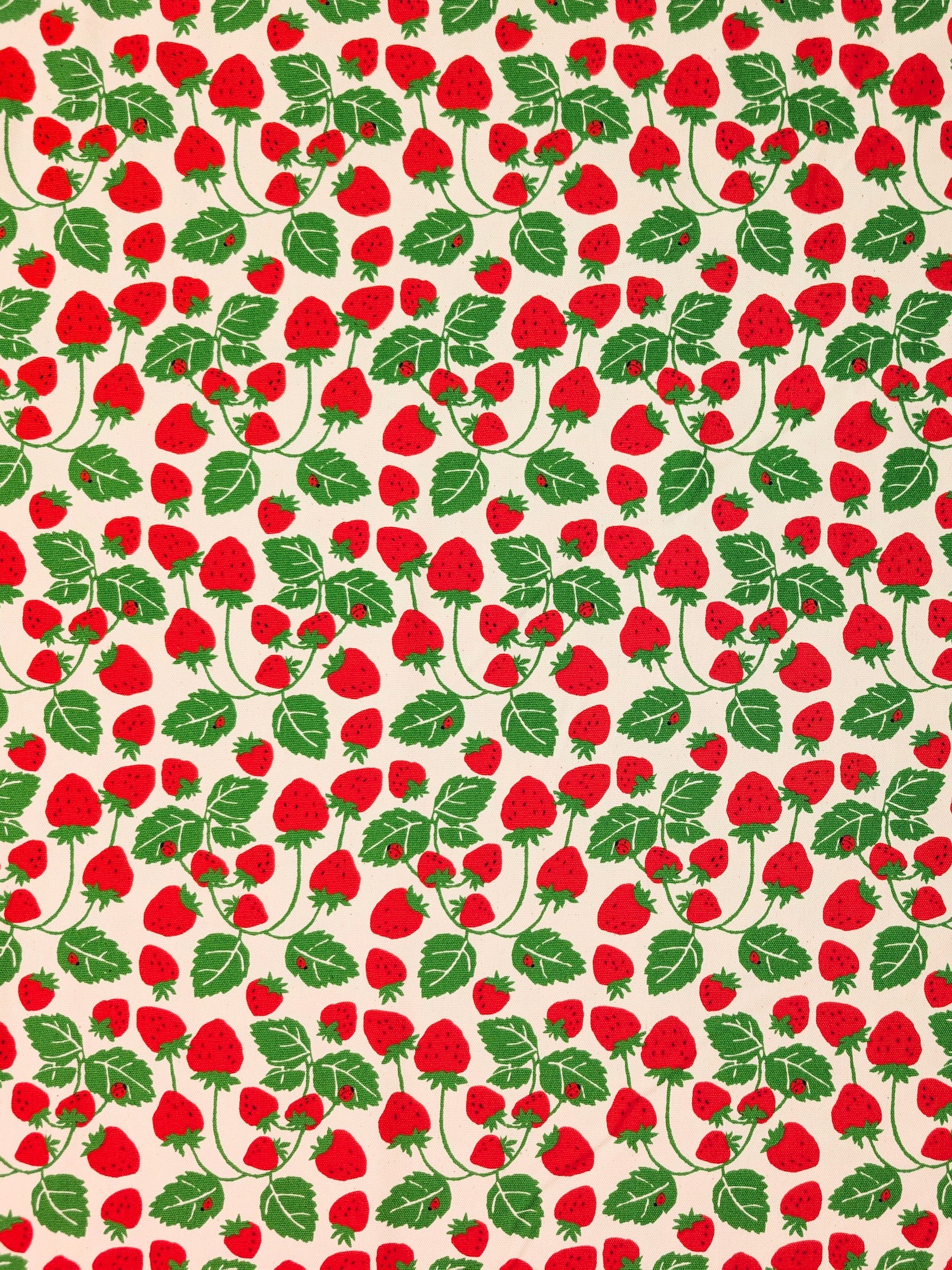 Sevenberry - Vining Strawberries Oxford Canvas Cotton Fabric - Red & Beige