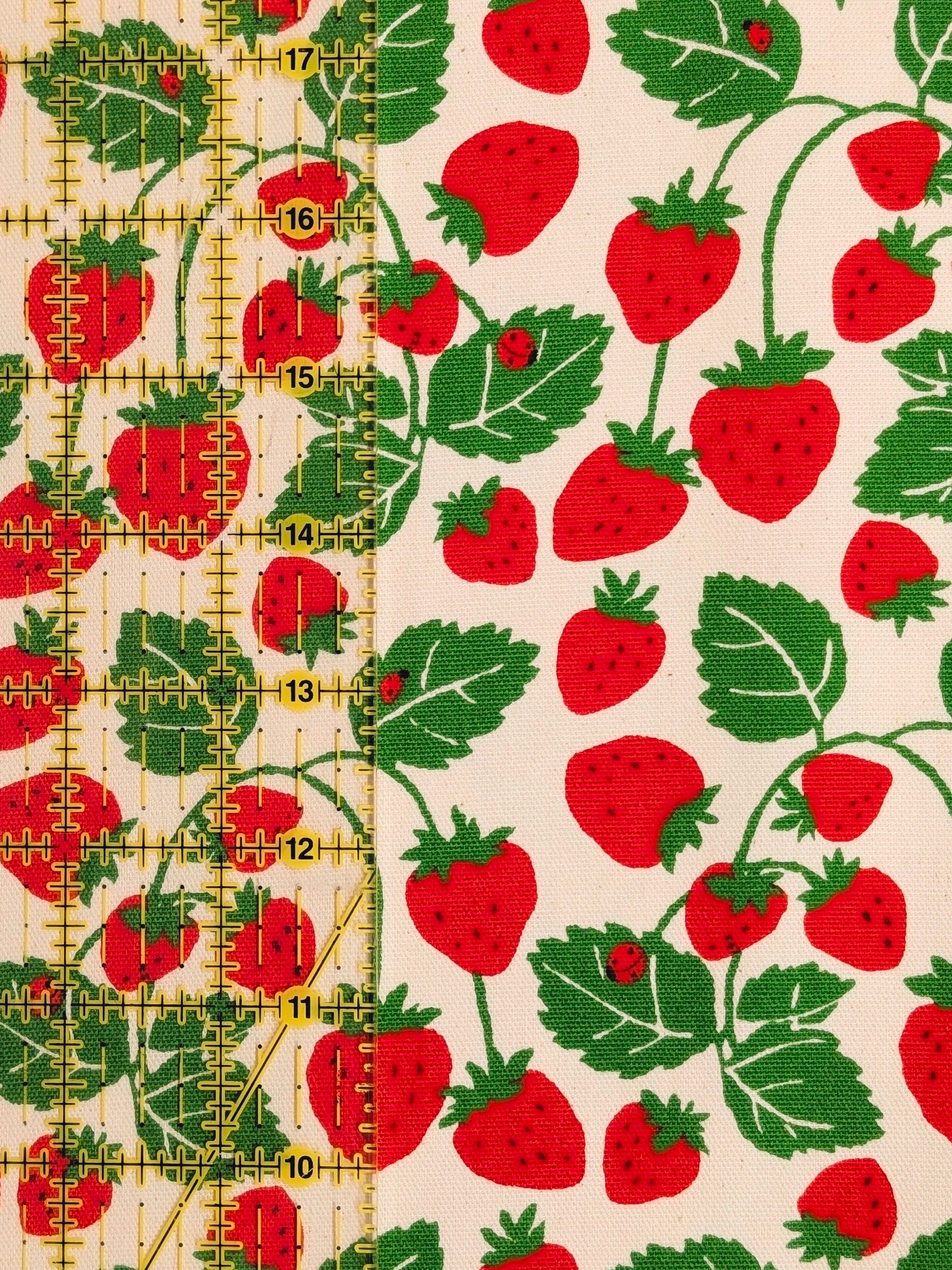 Sevenberry - Vining Strawberries Oxford Canvas Cotton Fabric - Red & Beige
