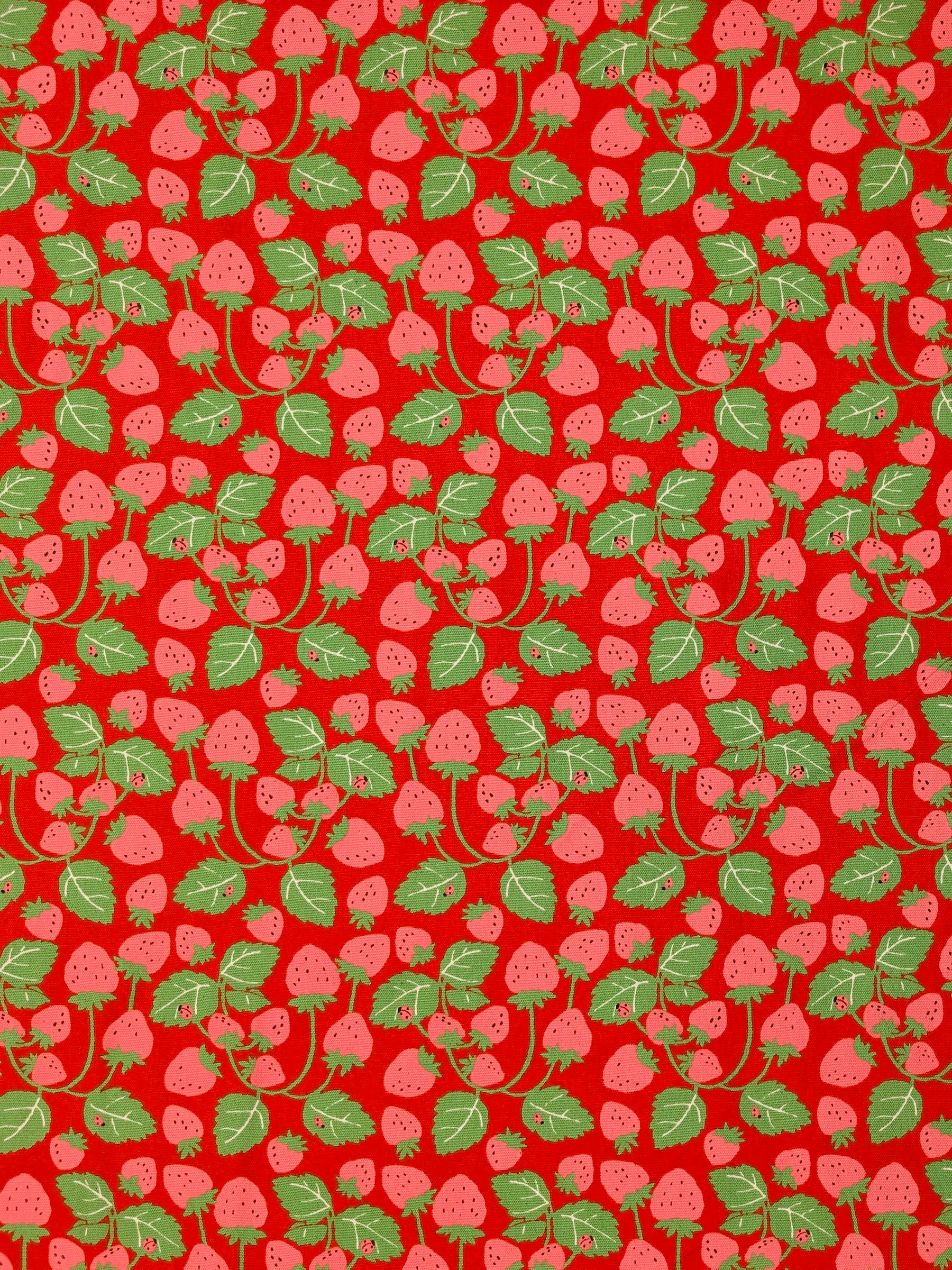 Sevenberry - Vining Strawberries Oxford Canvas Cotton Fabric - Pink & Red