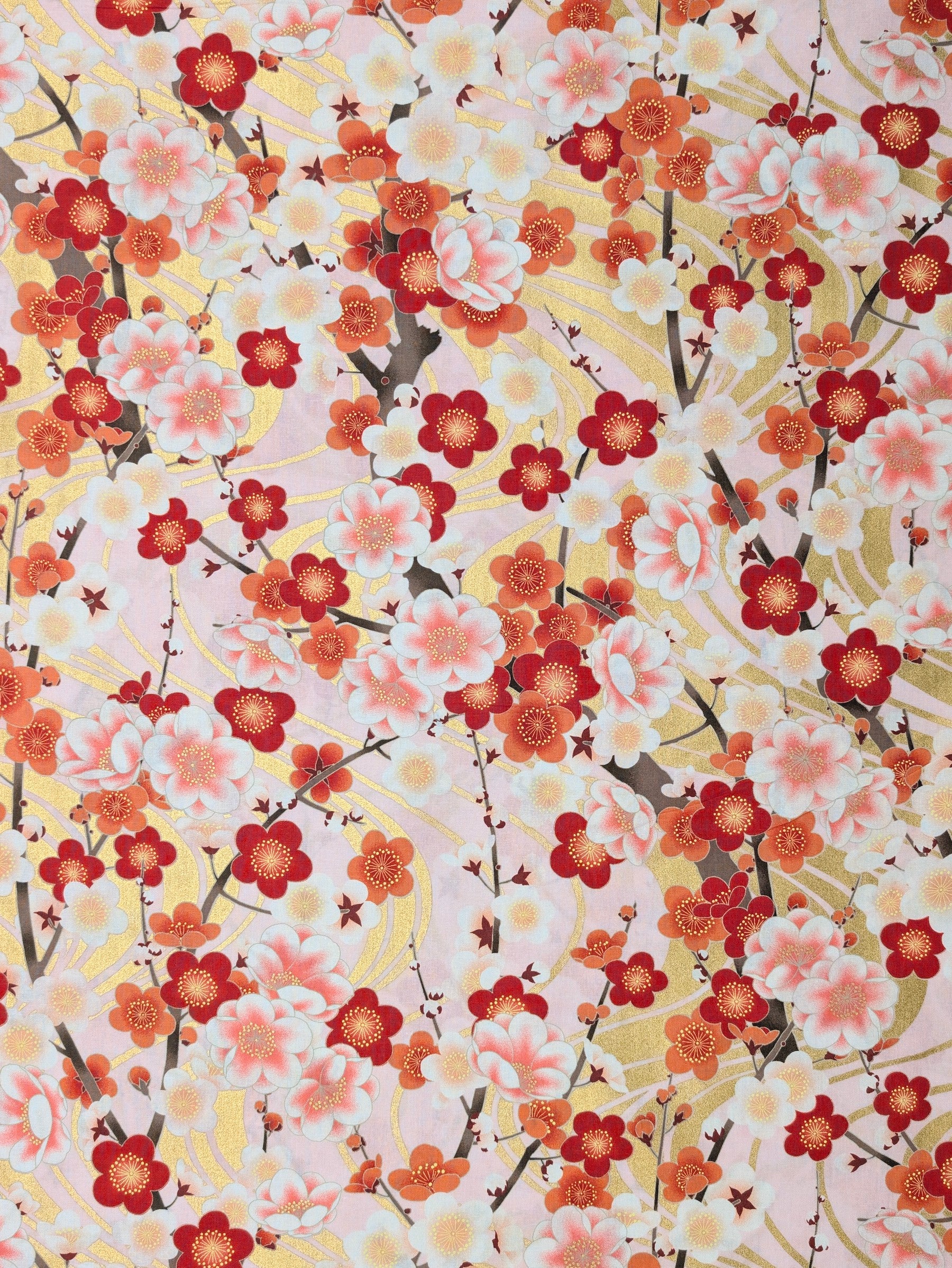 Naka - Golden Plum Blossom Cotton Sheeting Fabric - Red & Pink