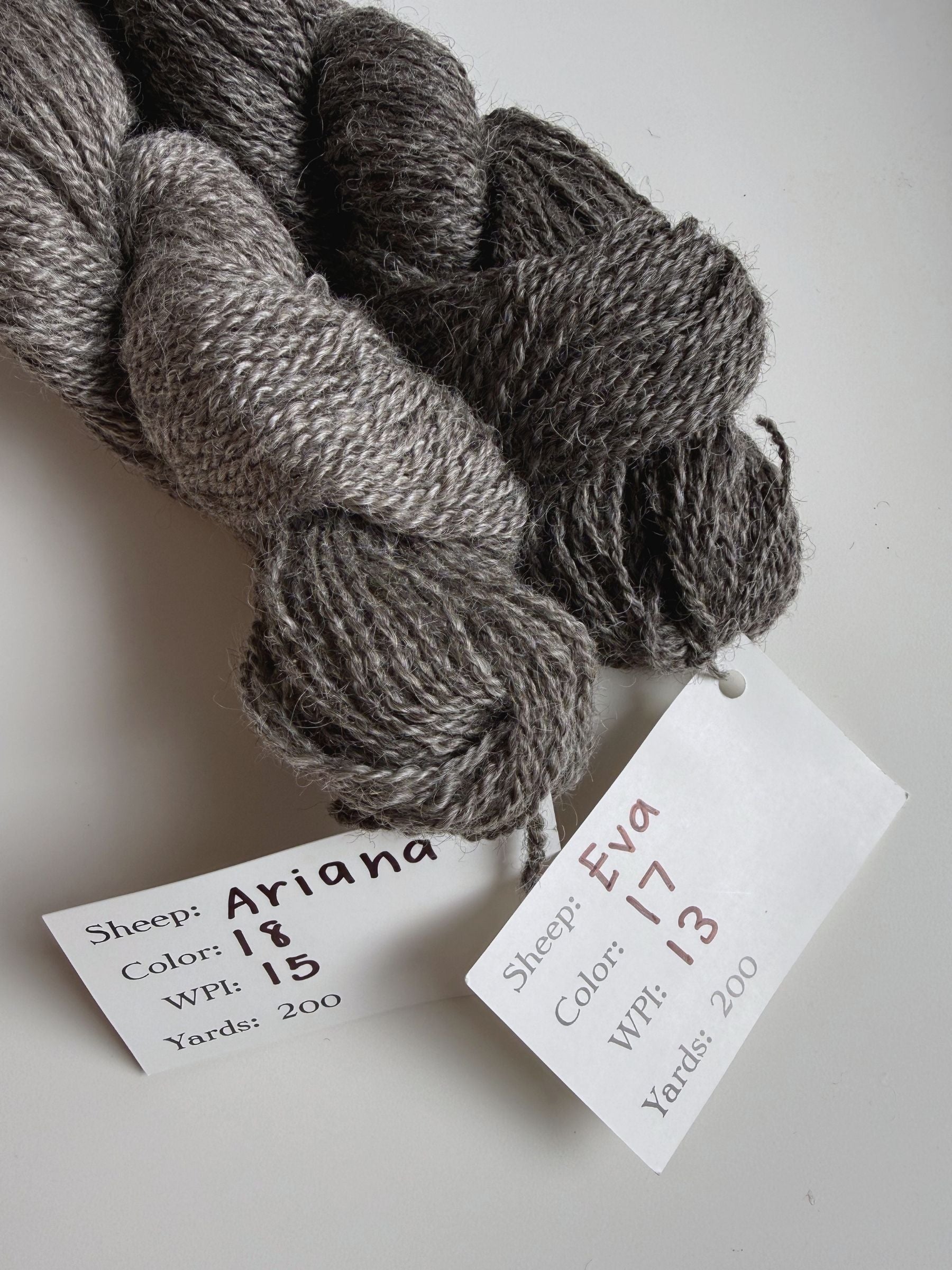 Spoiled Sheep - Gotland Cross Wool Yarn 200yd - Eva #17 Black Gray