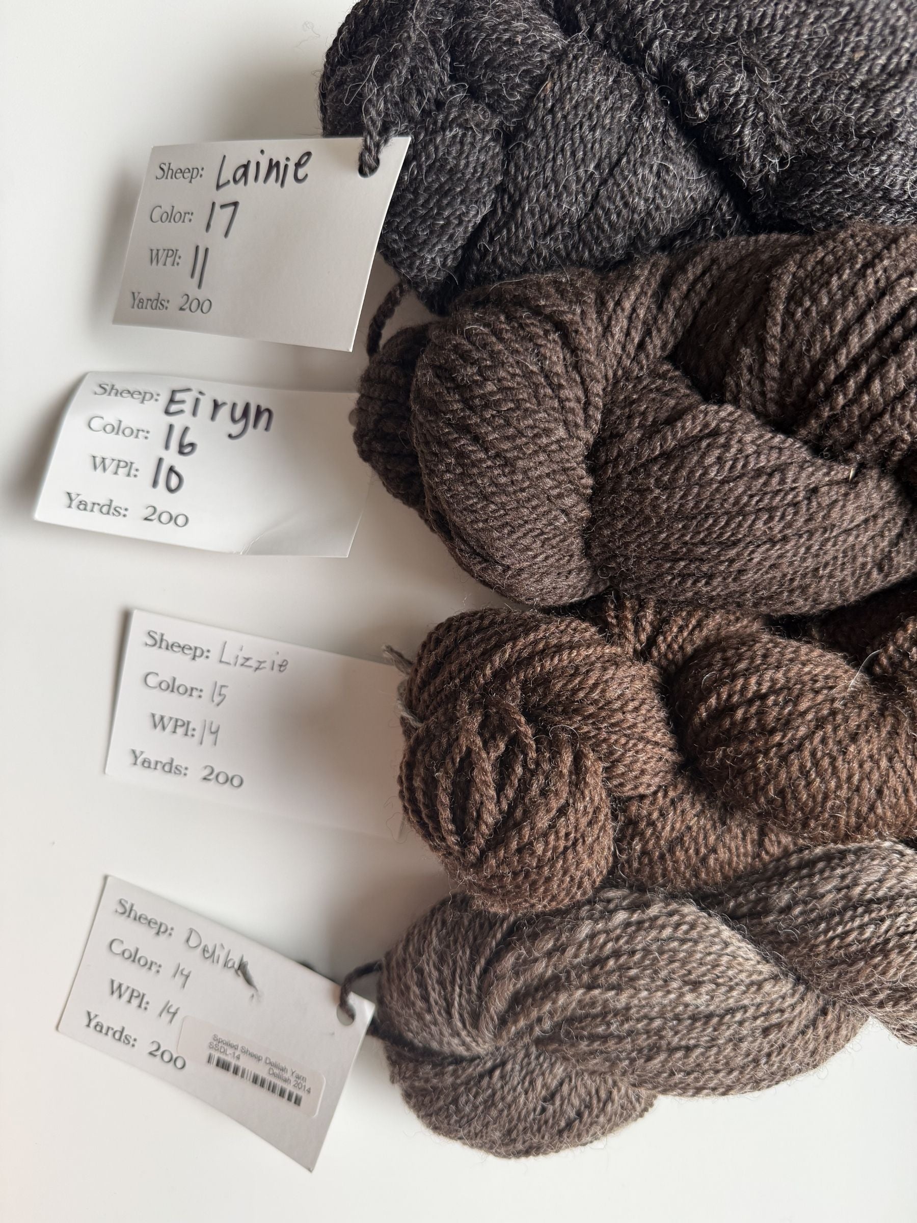 Spoiled Sheep - Corriedale Wool Yarn 200yd - Eiryn #16 Cocoa Brown