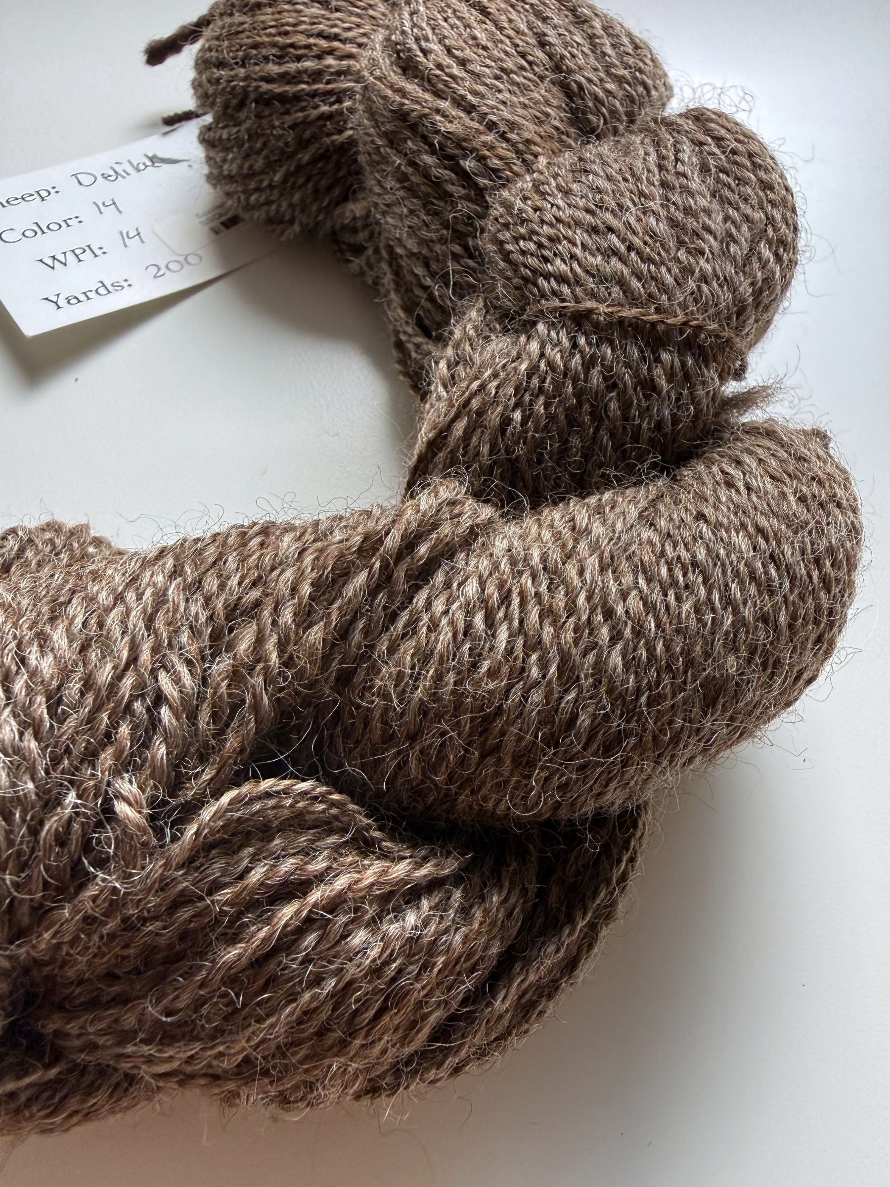 Spoiled Sheep - Romney Wool Yarn 200yd - Delilah #14 Ash Brown