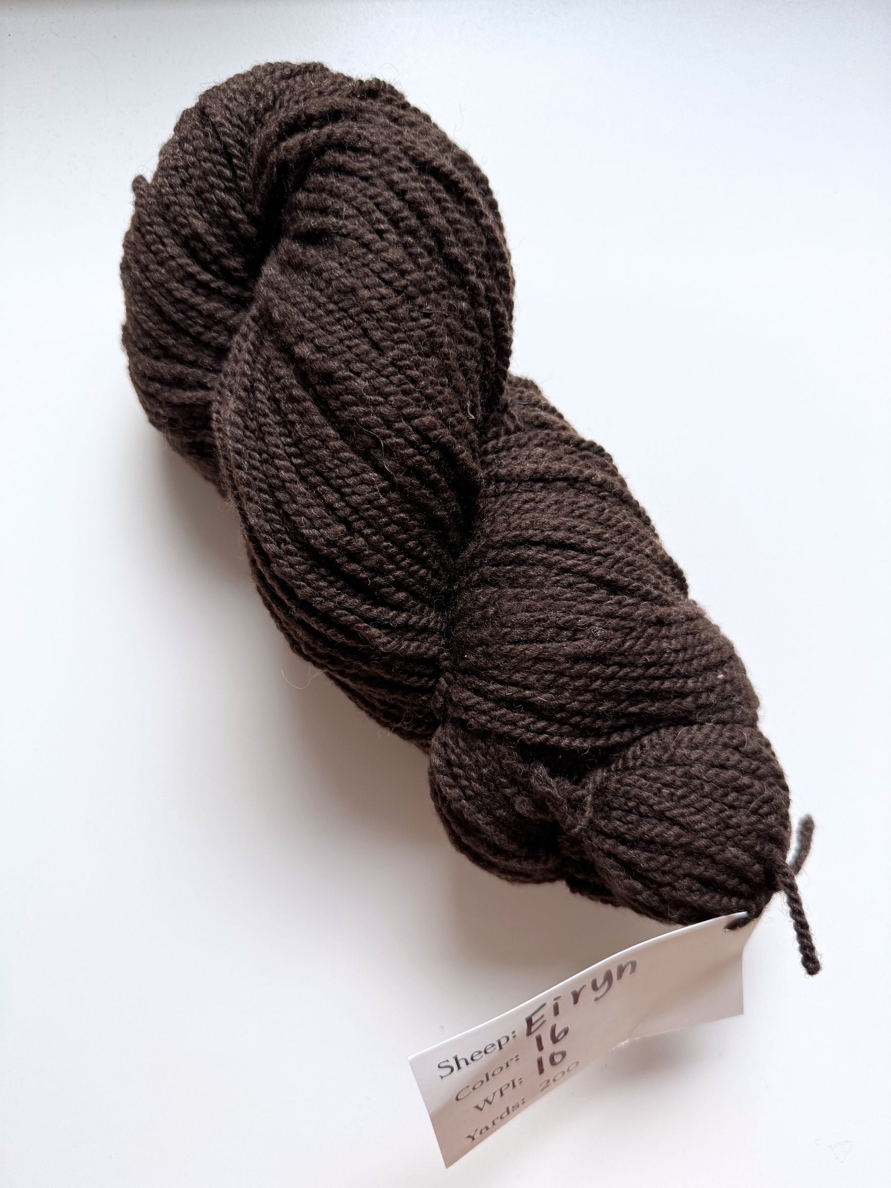 Spoiled Sheep - Corriedale Wool Yarn 200yd - Eiryn #16 Cocoa Brown