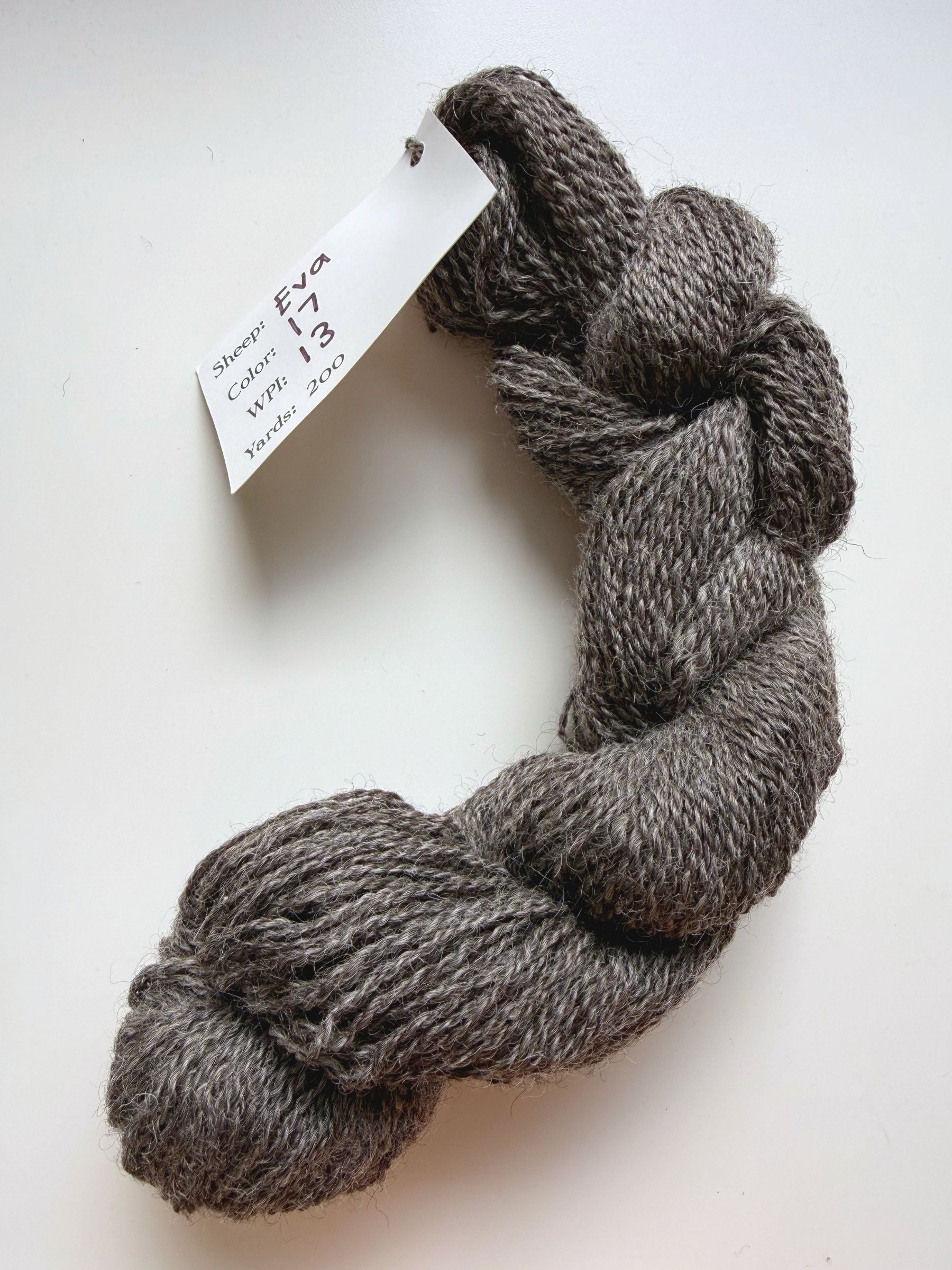 Spoiled Sheep - Gotland Cross Wool Yarn 200yd - Eva #17 Black Gray