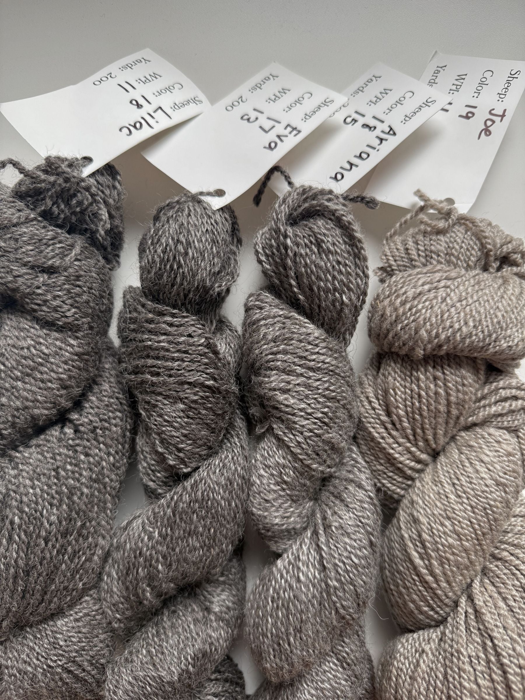 Spoiled Sheep - Gotland Cross Wool Yarn 200yd - Eva #17 Black Gray