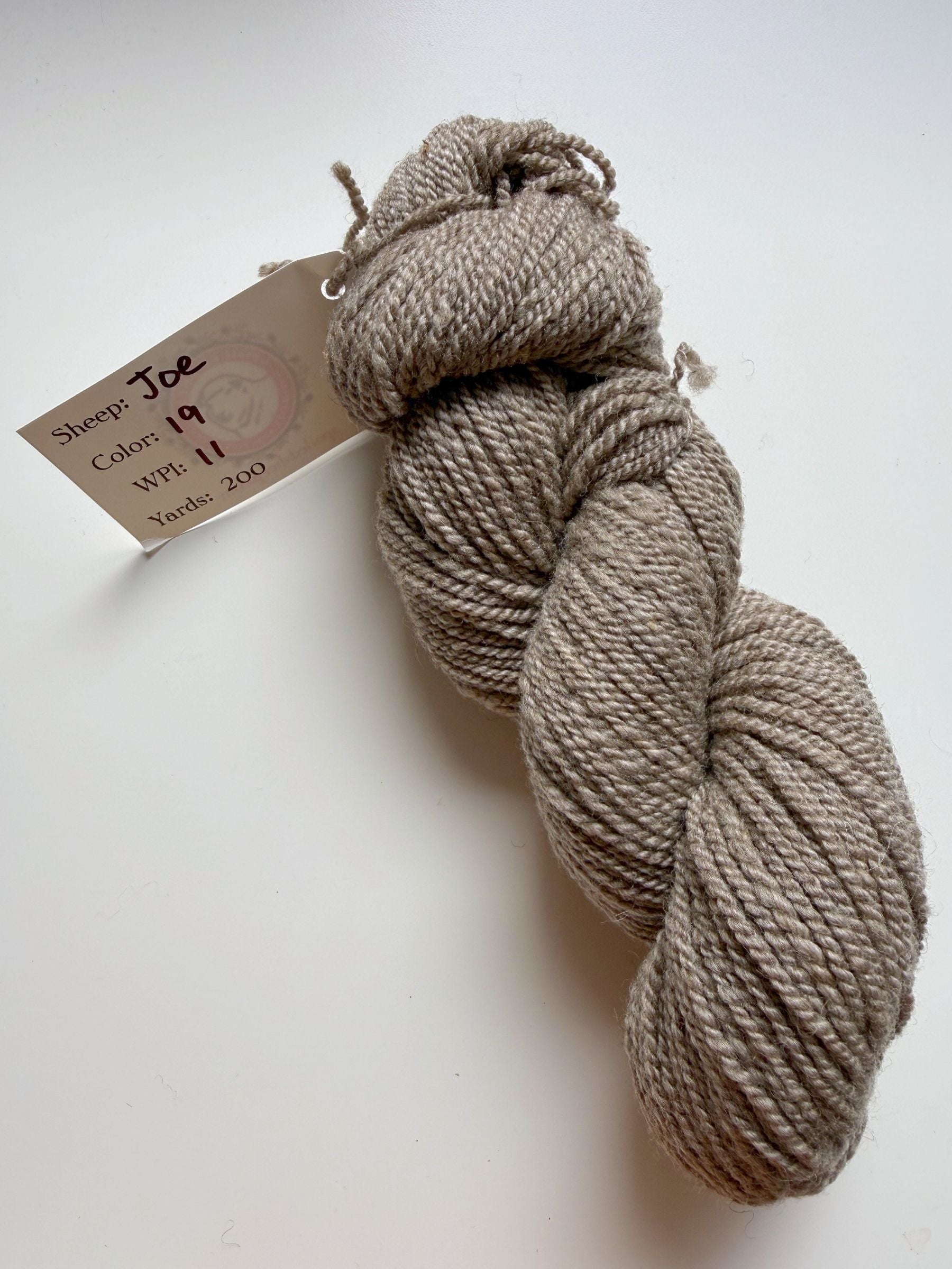 Spoiled Sheep - Romney/Rambouillet Wool Yarn 200yd - Joe #19 Gray