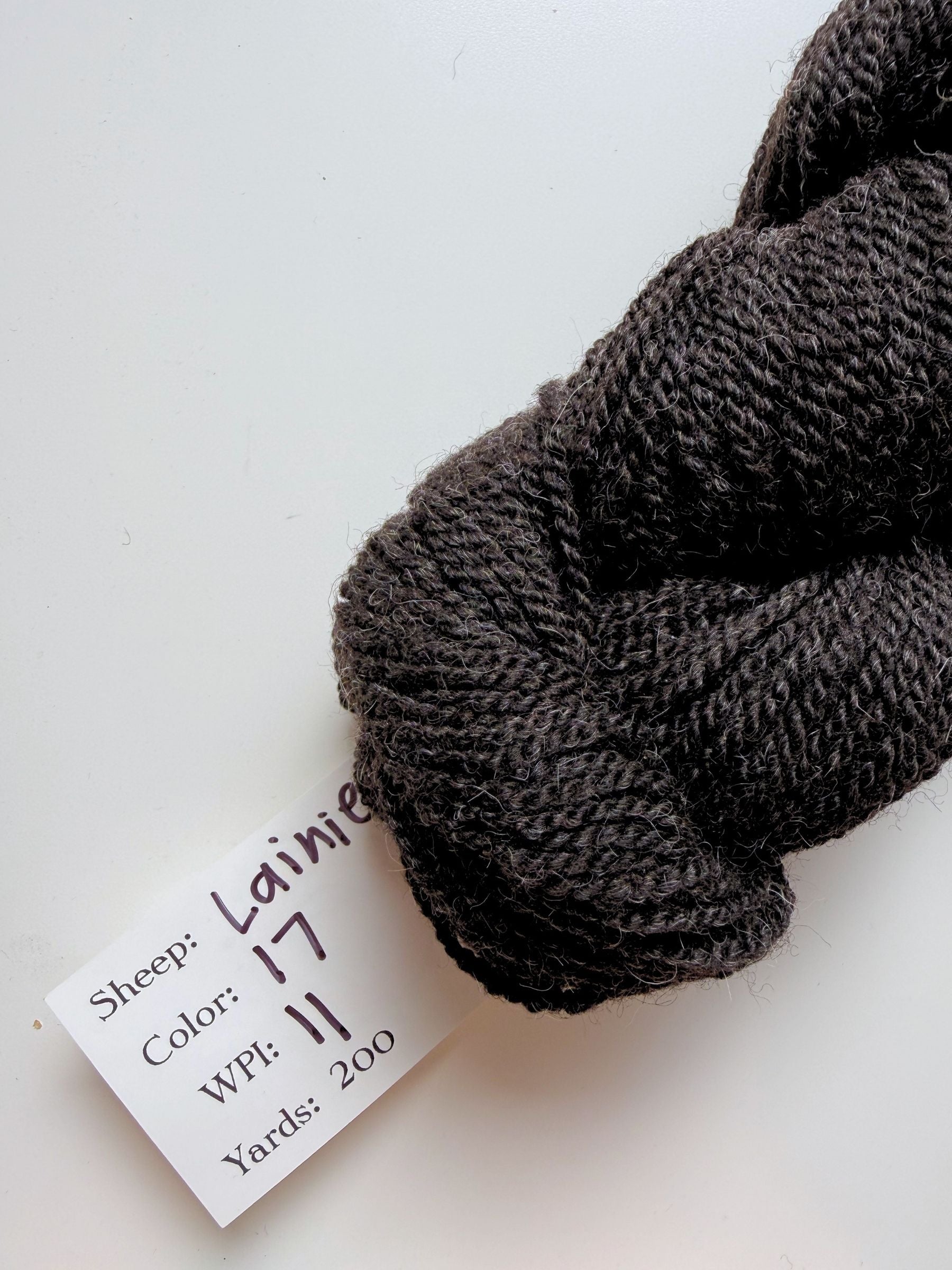 Spoiled Sheep - Suffolk/Finn/Merino Wool Yarn 200yd - Lainie #17 Charcoal Gray