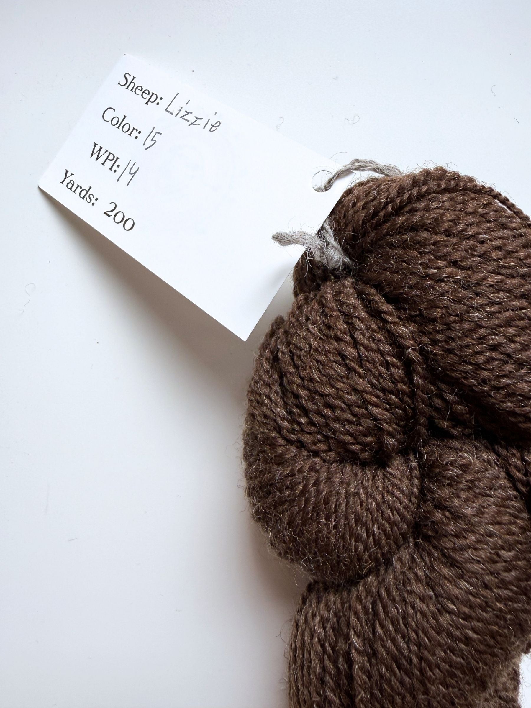 Spoiled Sheep - Romney/Rambouillet Wool Yarn 200yd - Lizzie #15 Rich Brown