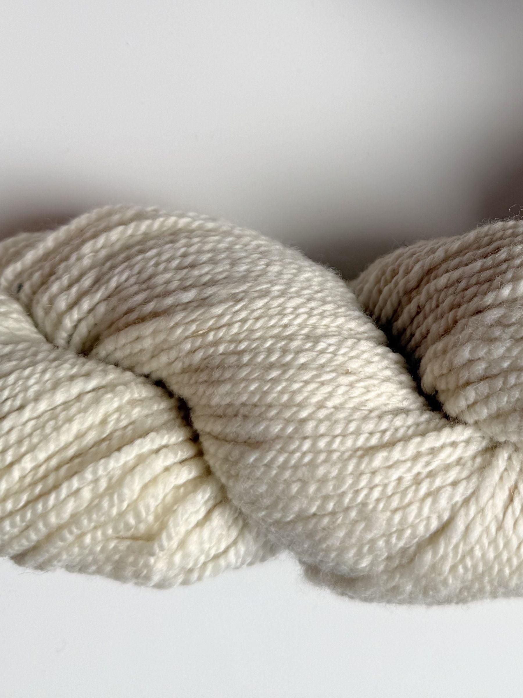 Spoiled Sheep - Corriedale/Rambouillet Wool Yarn 200yd - Luke #21 Natural White