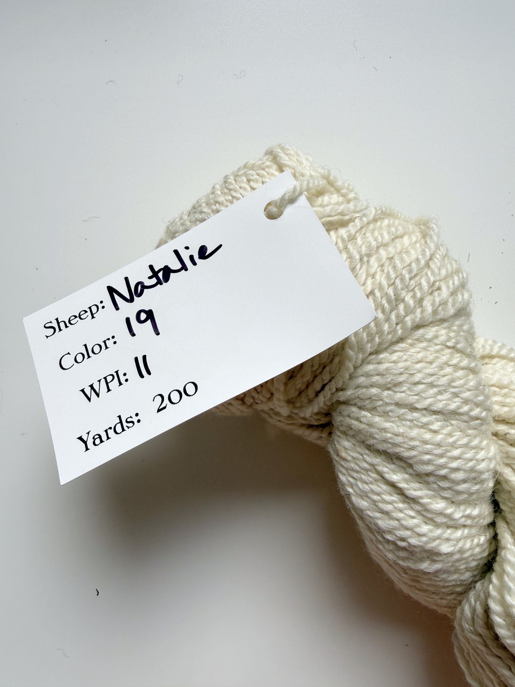 Spoiled Sheep - Wensleydale/Rambouillet Wool Yarn 200yd - Natalie #19 Natural White