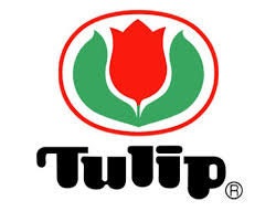 Tulip - Cables for CarryC Fine Gauge Knitting Needles - Various Sizes