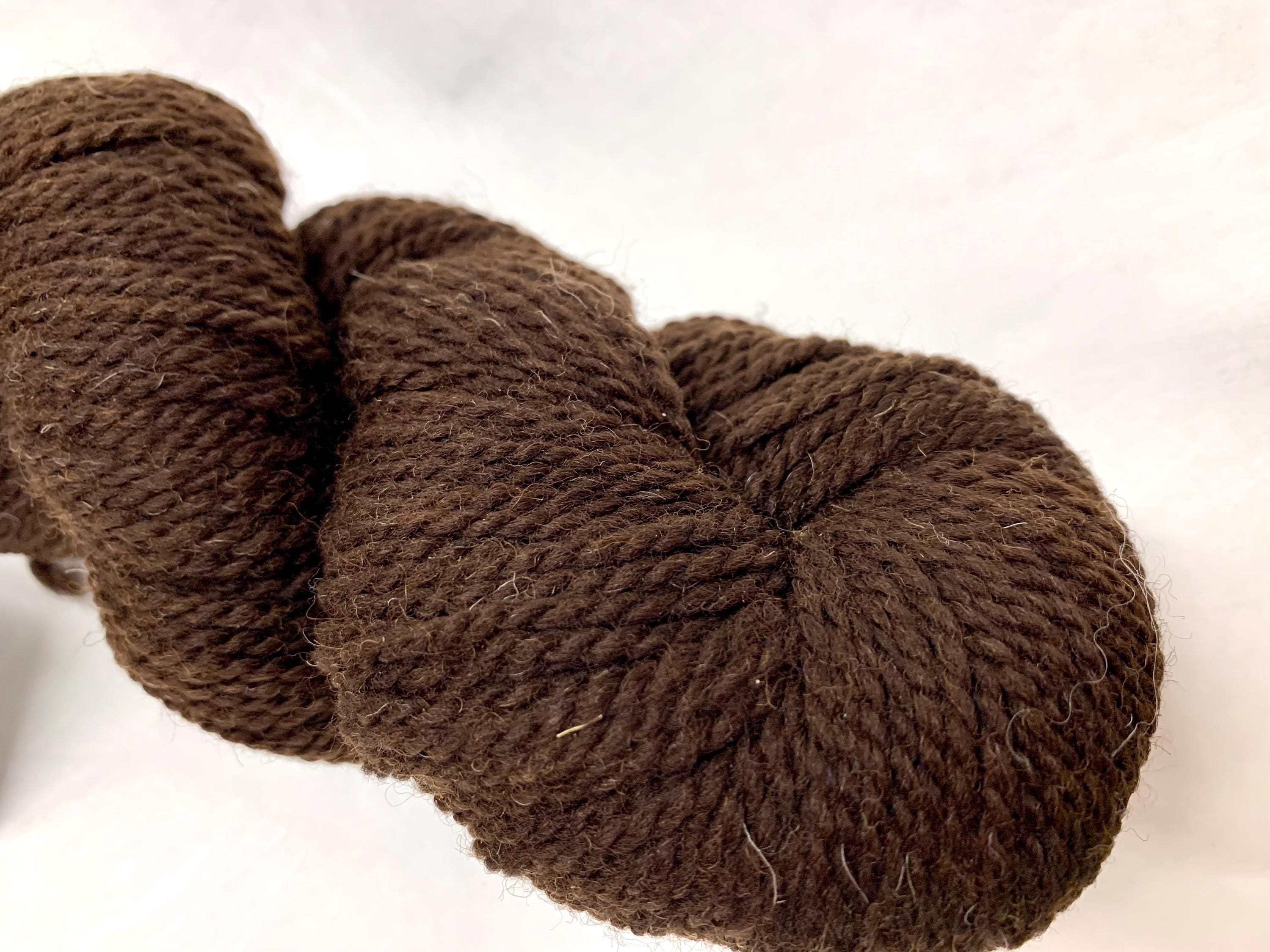 Spoiled Sheep - Romney/Rambouillet Cross Yarn 200yd - Daphne #16 Cocoa Brown